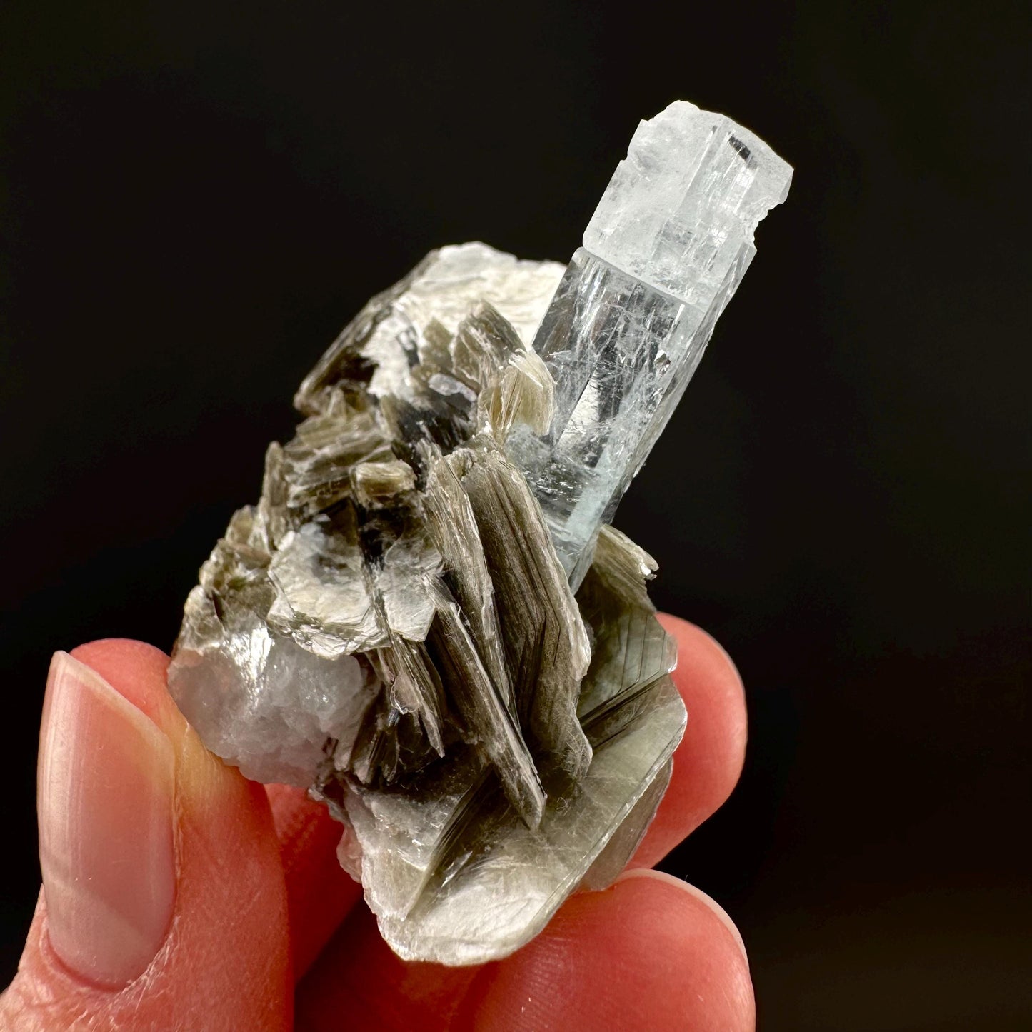 Aquamarine with Muscovite | terminated blue beryl crystal, natural mineral specimen