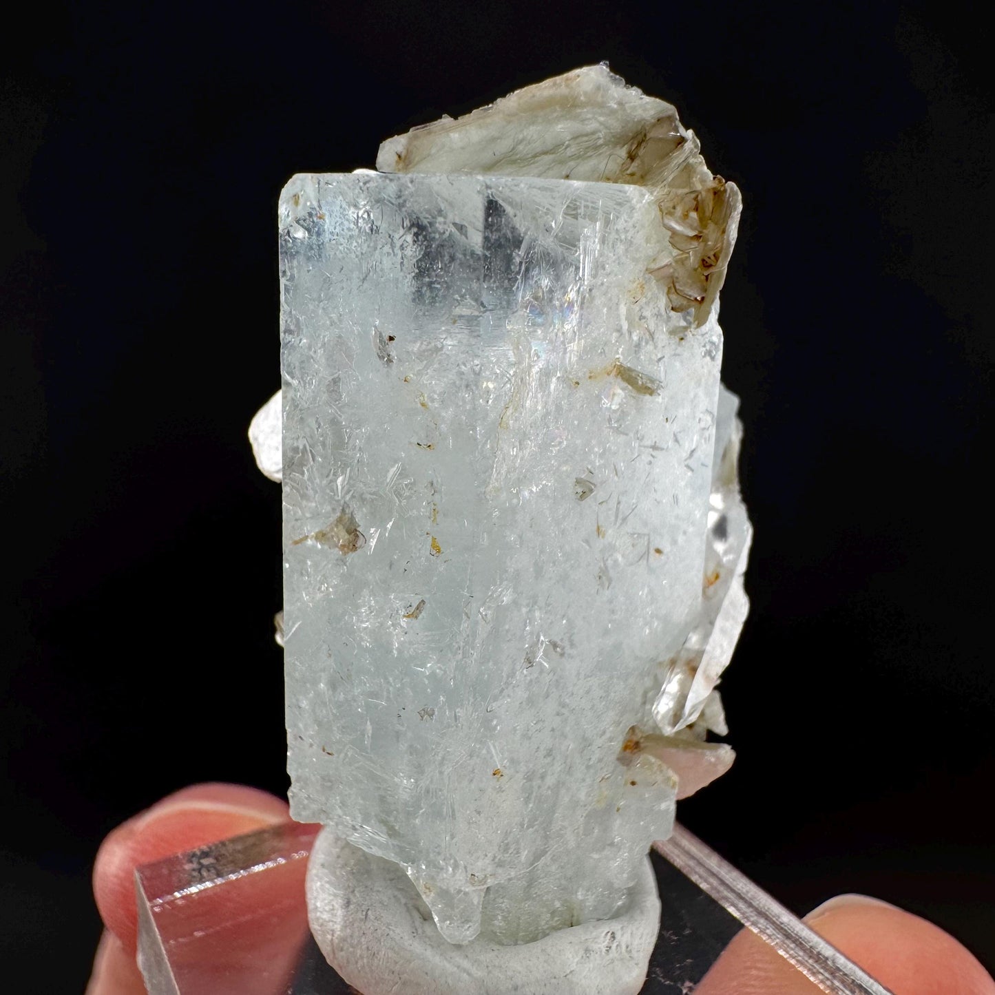 Aquamarine with Muscovite | terminated blue beryl crystal, natural mineral specimen