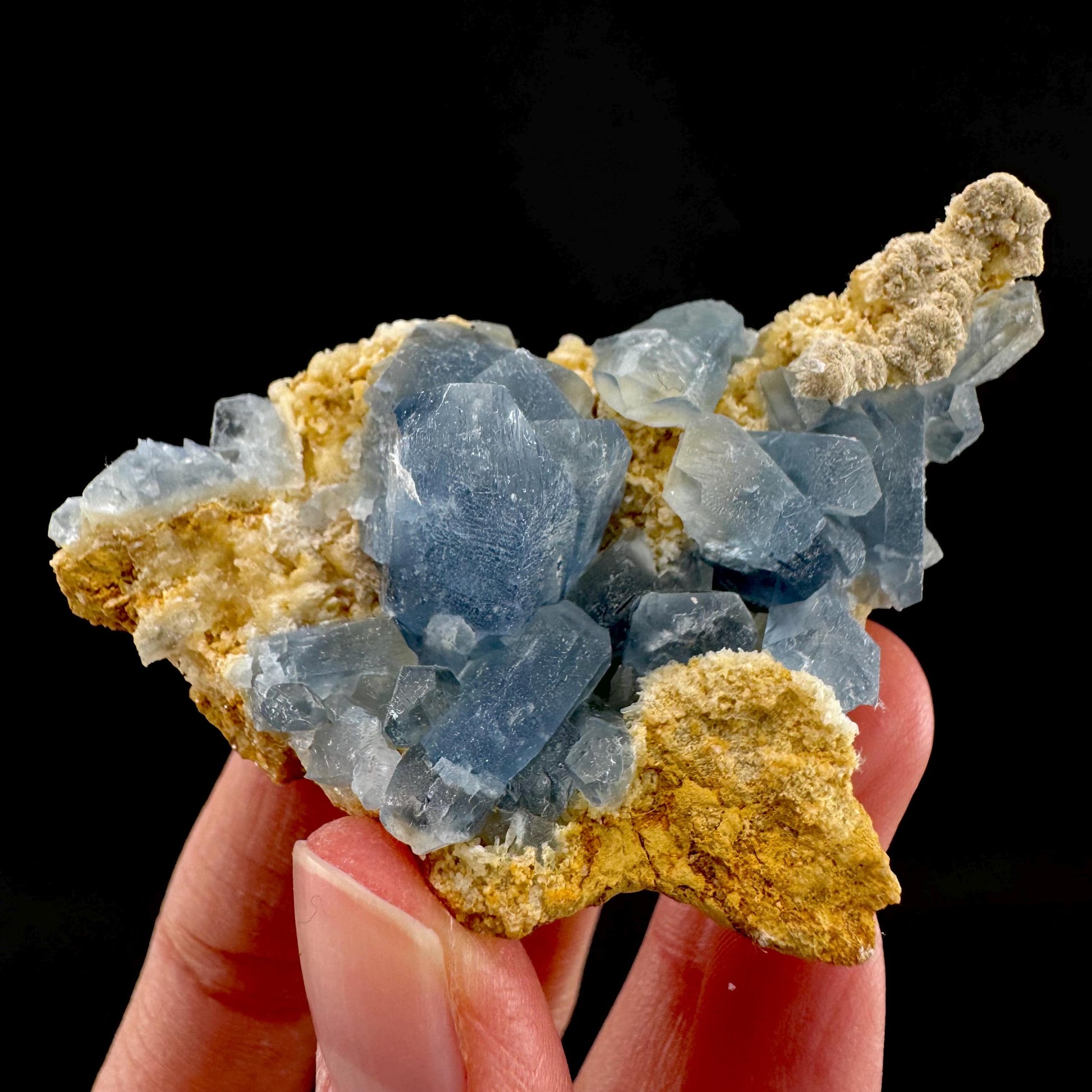 Celestite on Calcite | raw blue celestine crystal cluster, natural mineral specimen