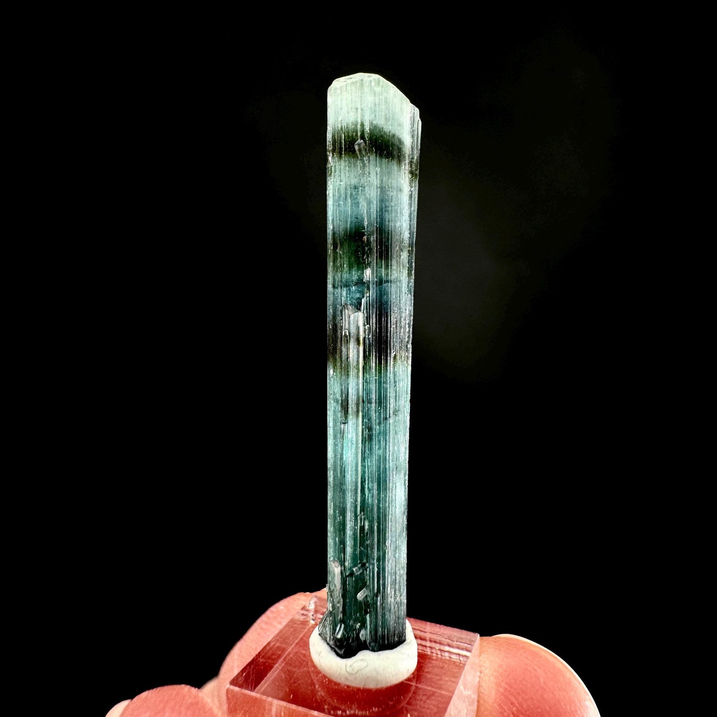 Indicolite Tourmaline Crystal | Natural Blue-Green Mineral Specimen from Pakistan