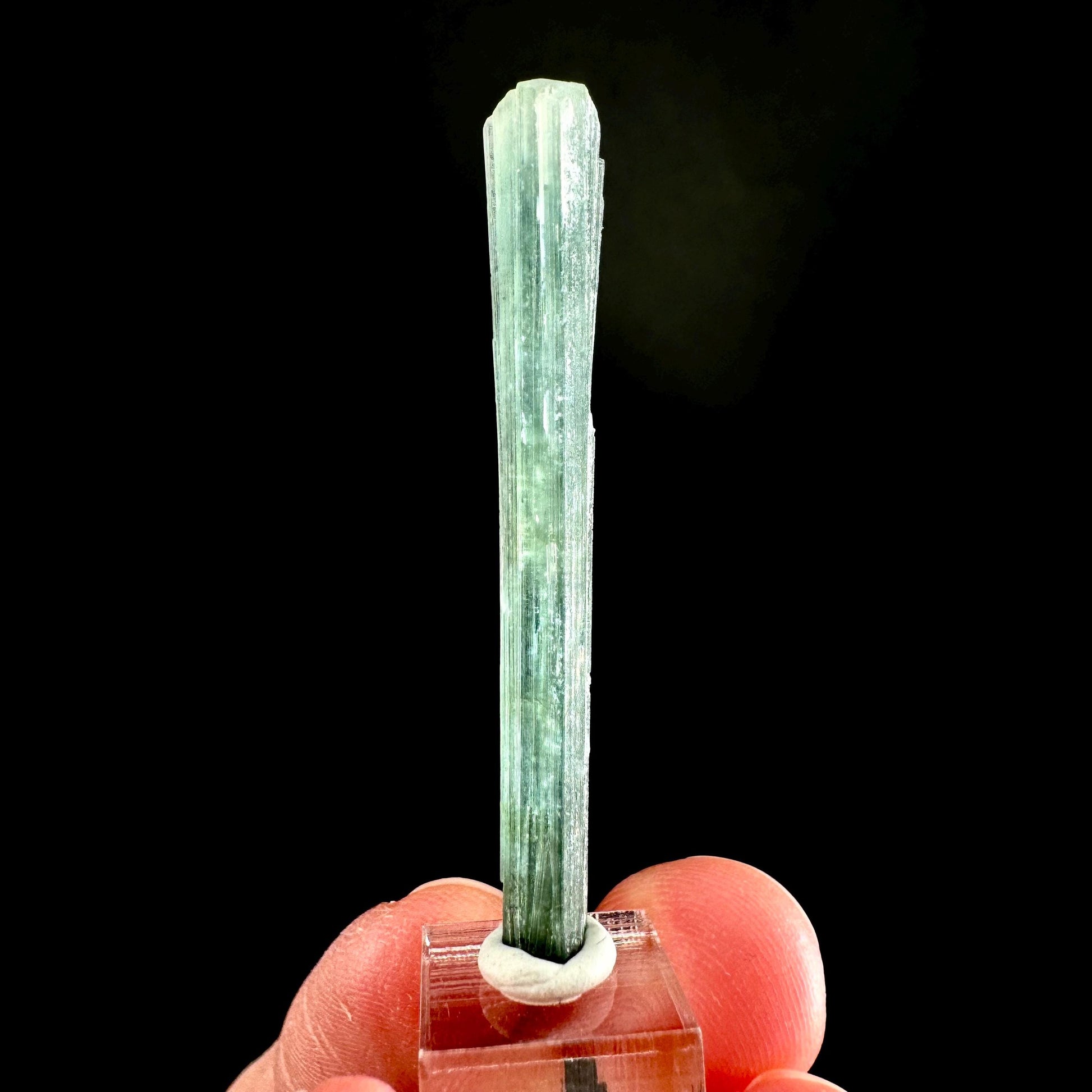 Indicolite Tourmaline Crystal | Natural Blue-Green Mineral Specimen from Pakistan
