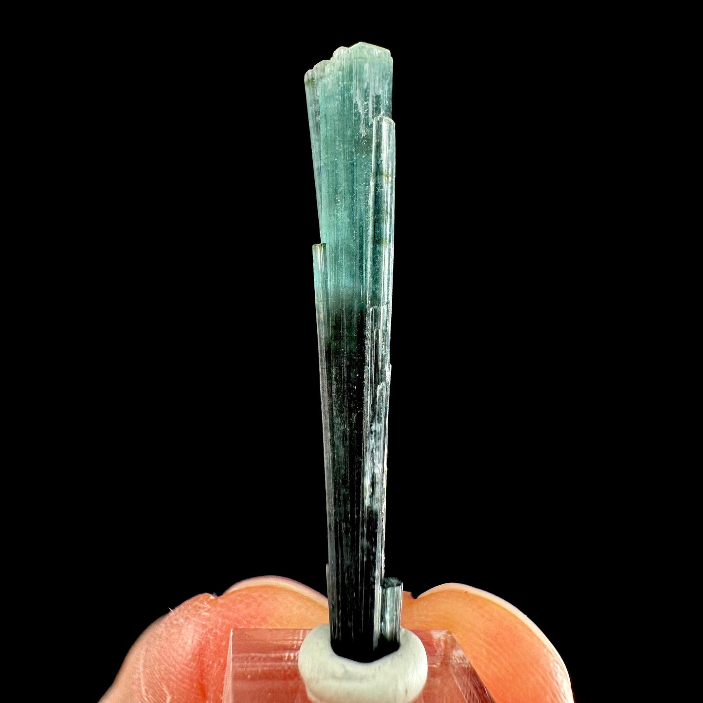 Indicolite Tourmaline Crystal | Natural Blue-Green Mineral Specimen from Pakistan