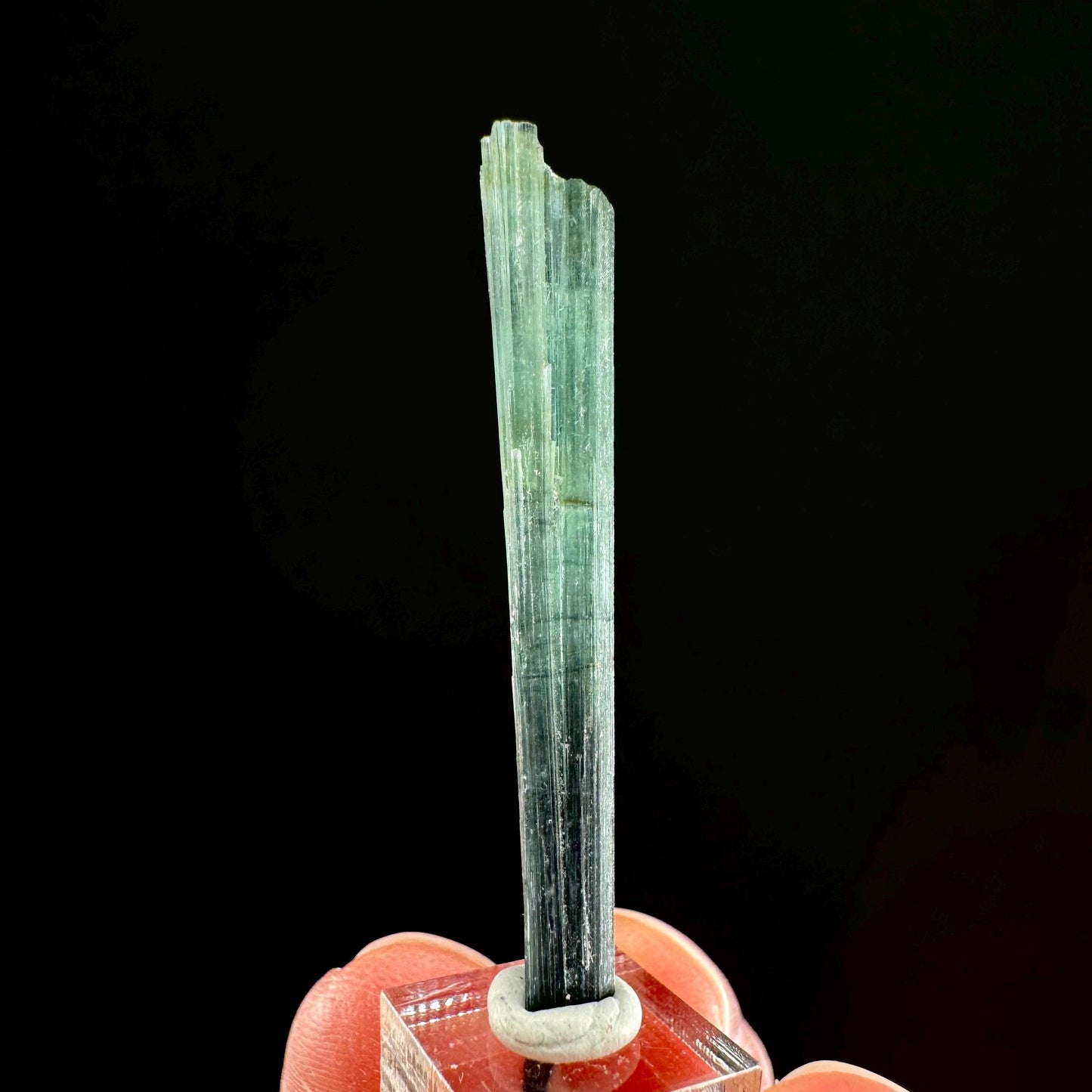 Indicolite Tourmaline Crystal | Natural Blue-Green Mineral Specimen from Pakistan