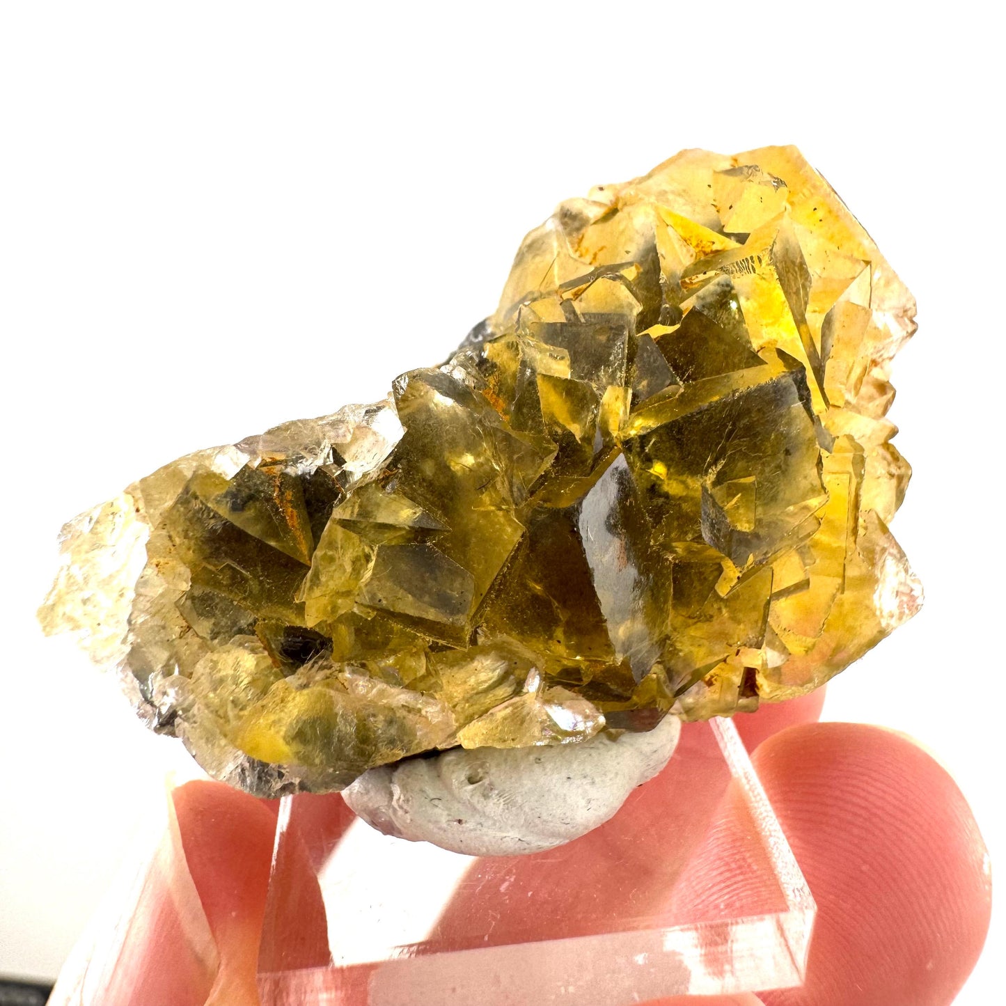 Okorusu Fluorite | “Honey Pocket” yellow crystal cluster, mineral specimen from Namibia