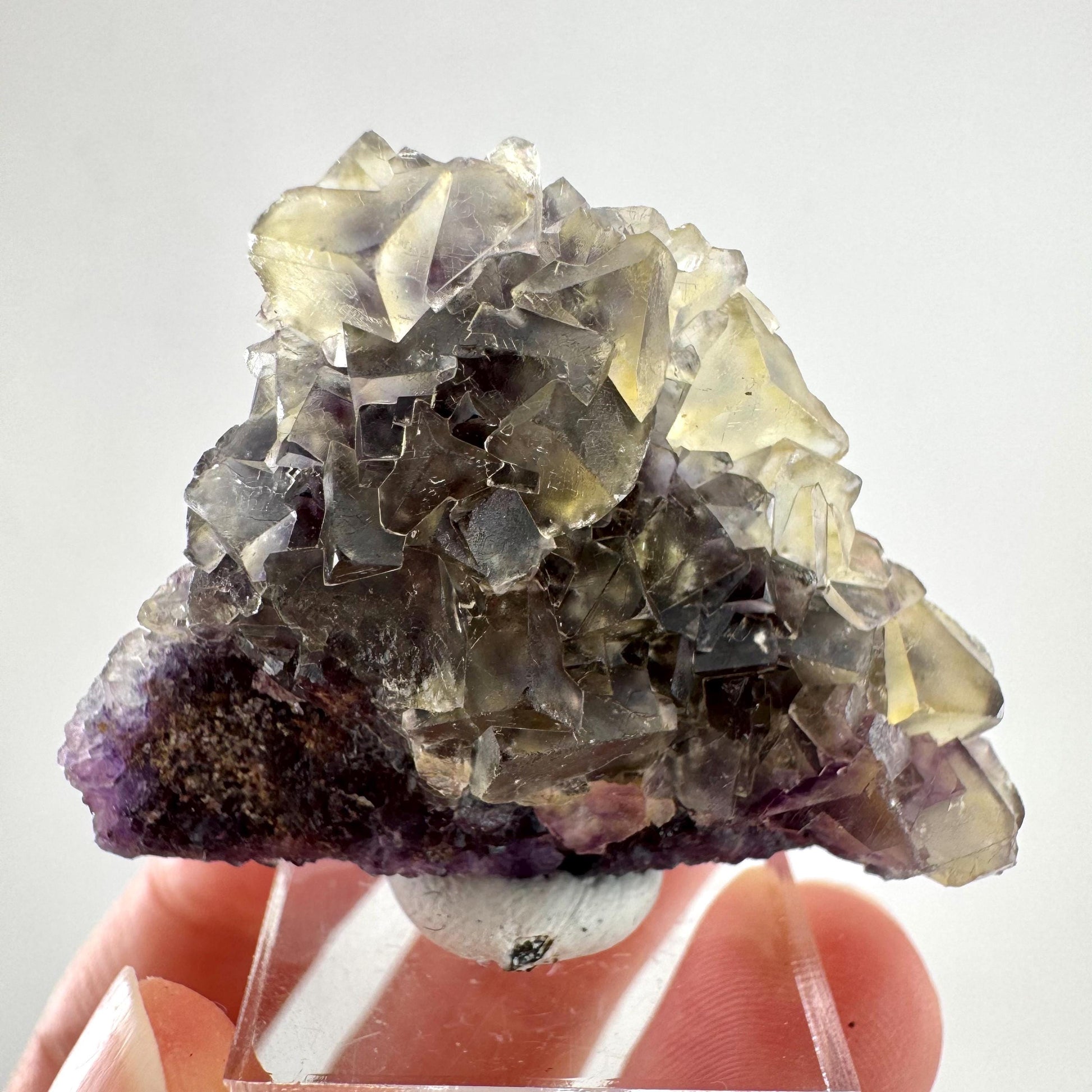 Okorusu Fluorite | “Honey Pocket” yellow crystal cluster, mineral specimen from Namibia