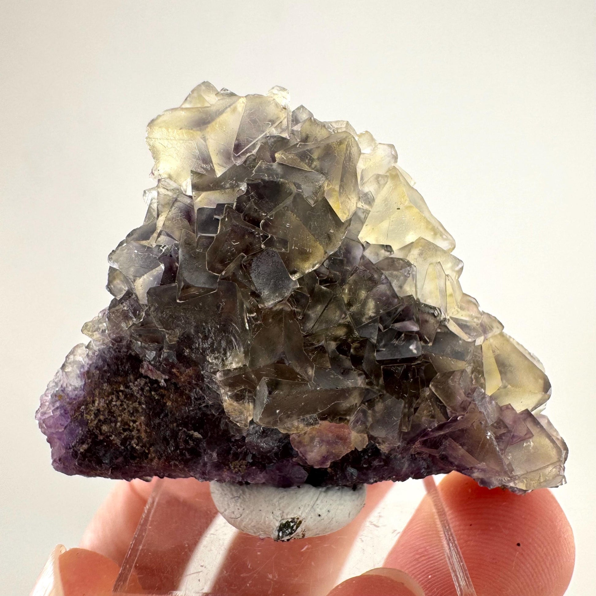 Okorusu Fluorite | “Honey Pocket” yellow crystal cluster, mineral specimen from Namibia