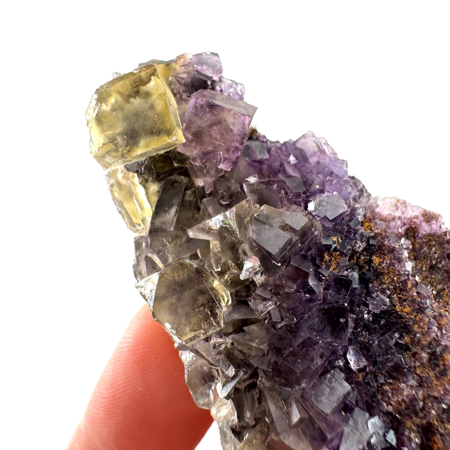 Okorusu Fluorite | “Honey Pocket” yellow & purple crystal cluster, mineral specimen from Namibia