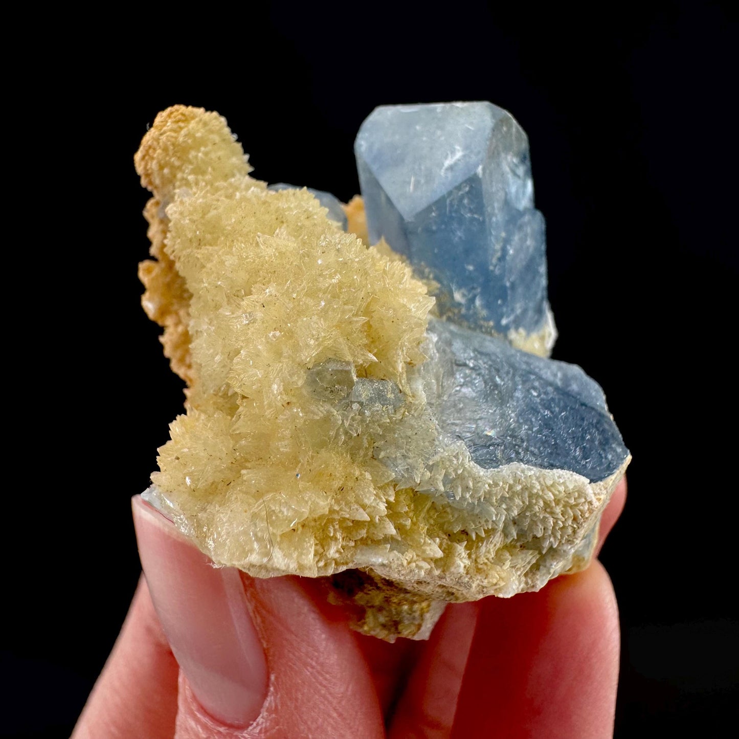 Celestite on Calcite | raw blue celestine crystal cluster, natural mineral specimen