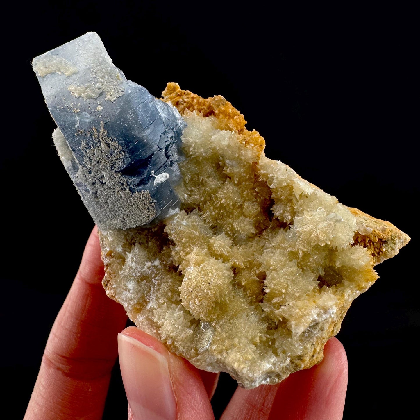 Celestite on Calcite | raw blue celestine crystal cluster, natural mineral specimen