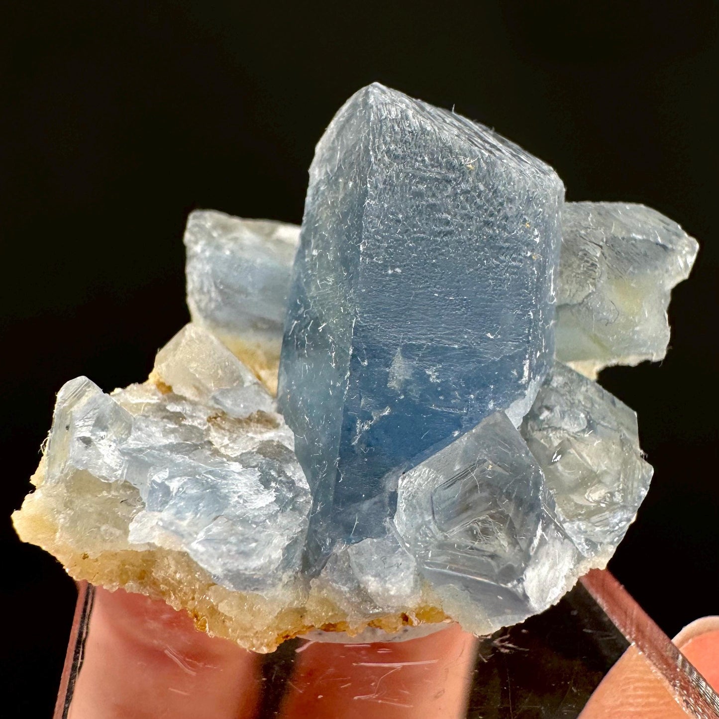 Celestite on Calcite | raw blue celestine crystal cluster, natural mineral specimen