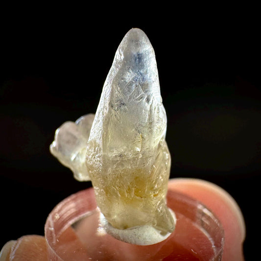 Ceylon Sapphire | natural uncut raw sapphire crystal, mineral specimen from Sri Lanka