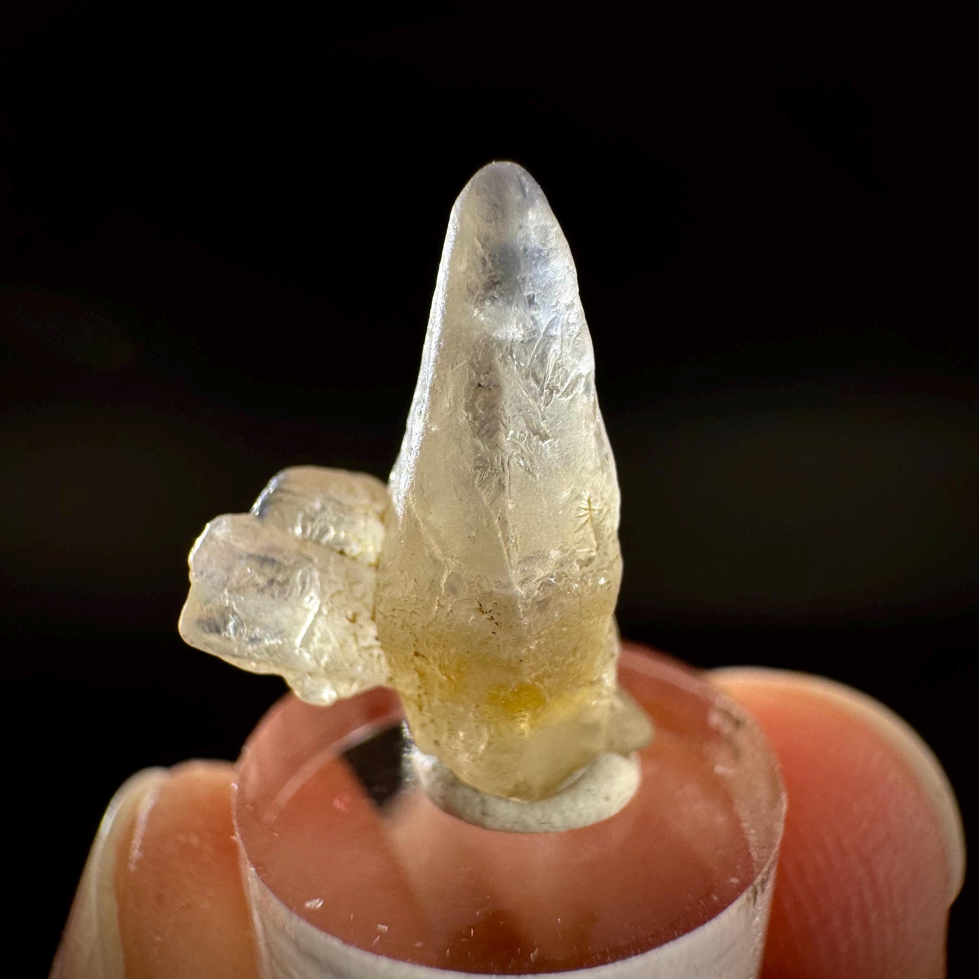Ceylon Sapphire | natural uncut raw sapphire crystal, mineral specimen from Sri Lanka