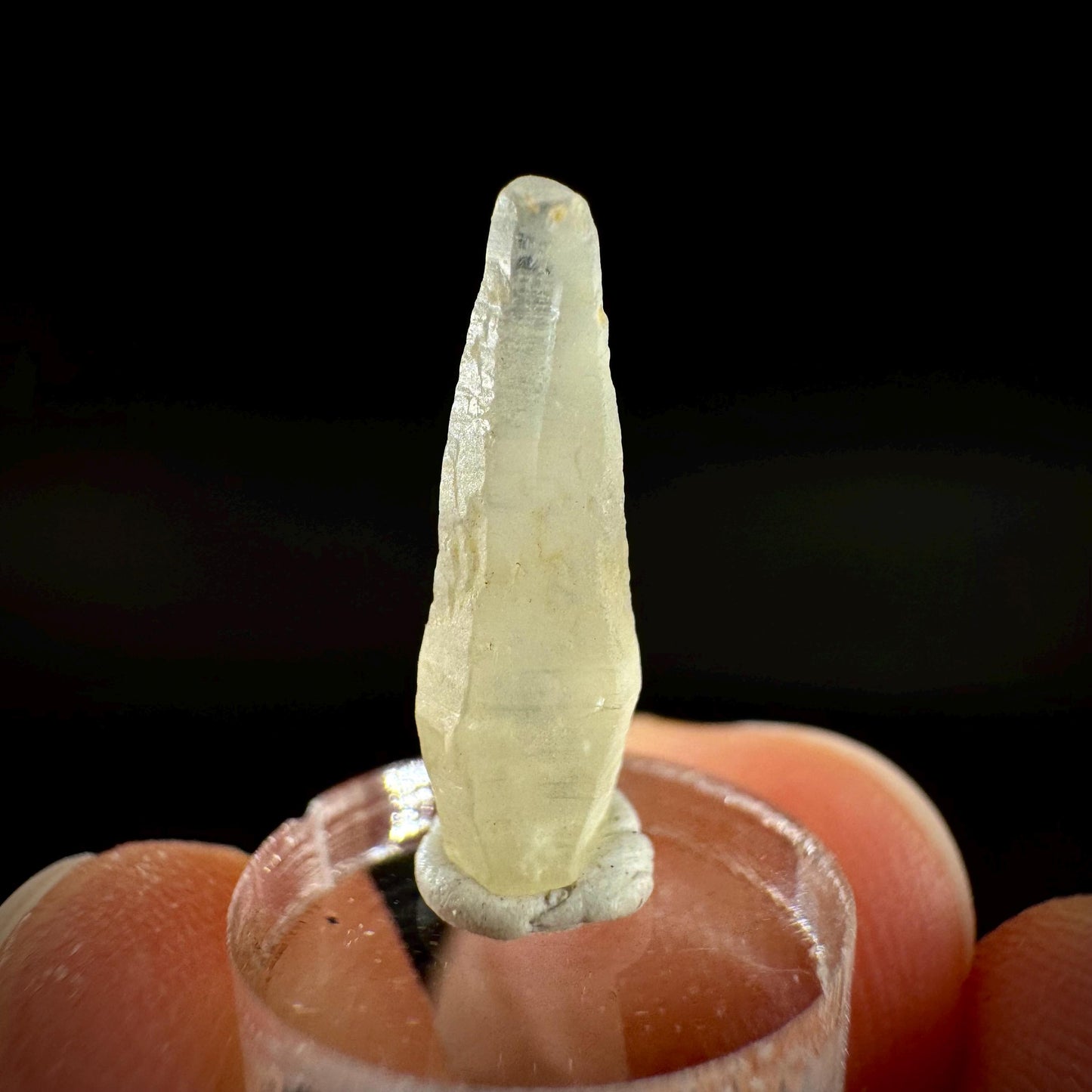 Ceylon Sapphire | natural uncut raw sapphire crystal, mineral specimen from Sri Lanka