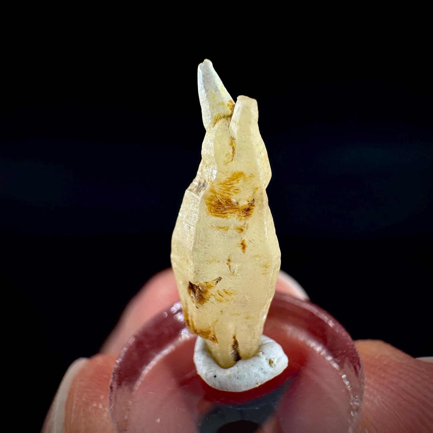 Ceylon Sapphire | natural yellow crystal, uncut raw sapphire, mineral specimen from Sri Lanka