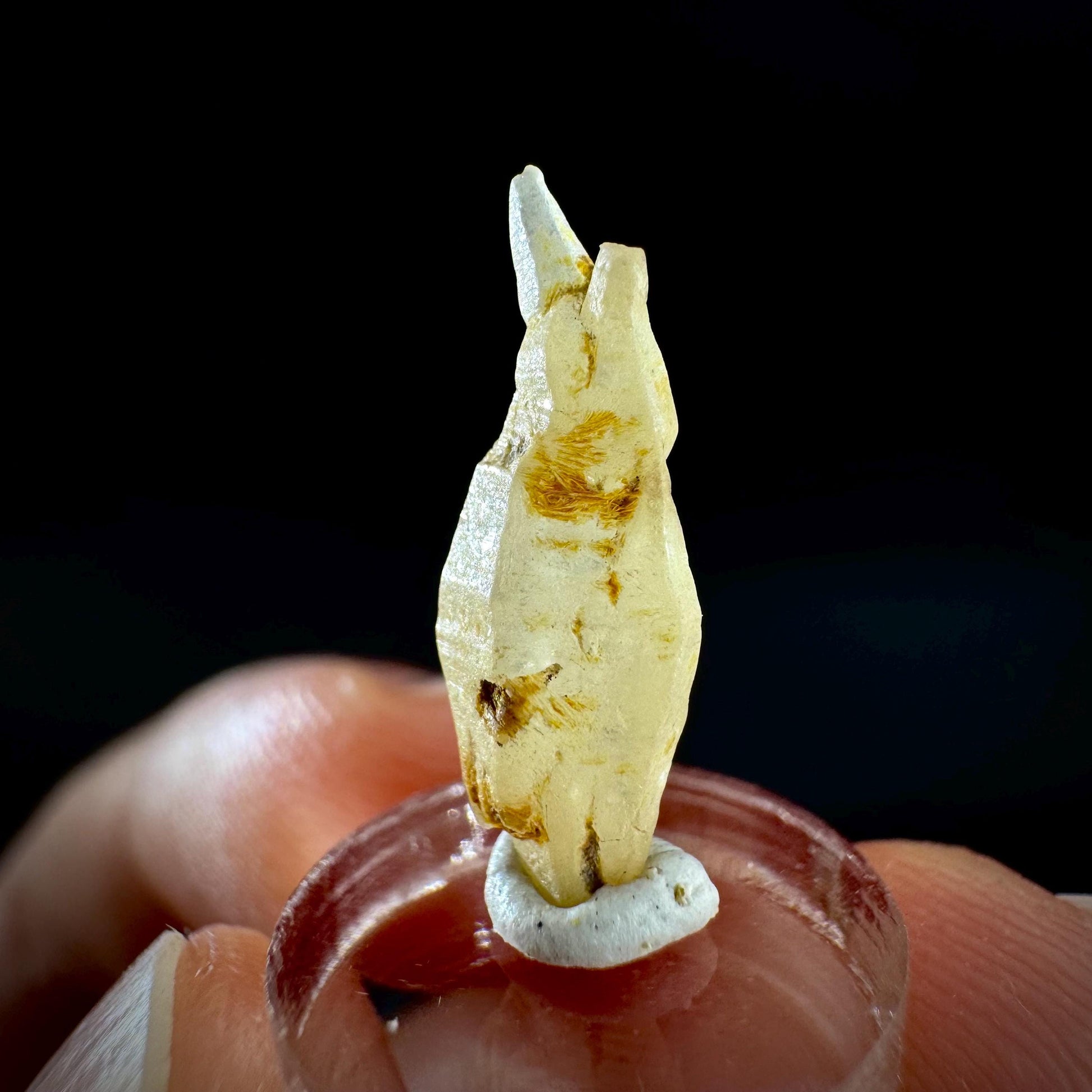 Ceylon Sapphire | natural yellow crystal, uncut raw sapphire, mineral specimen from Sri Lanka