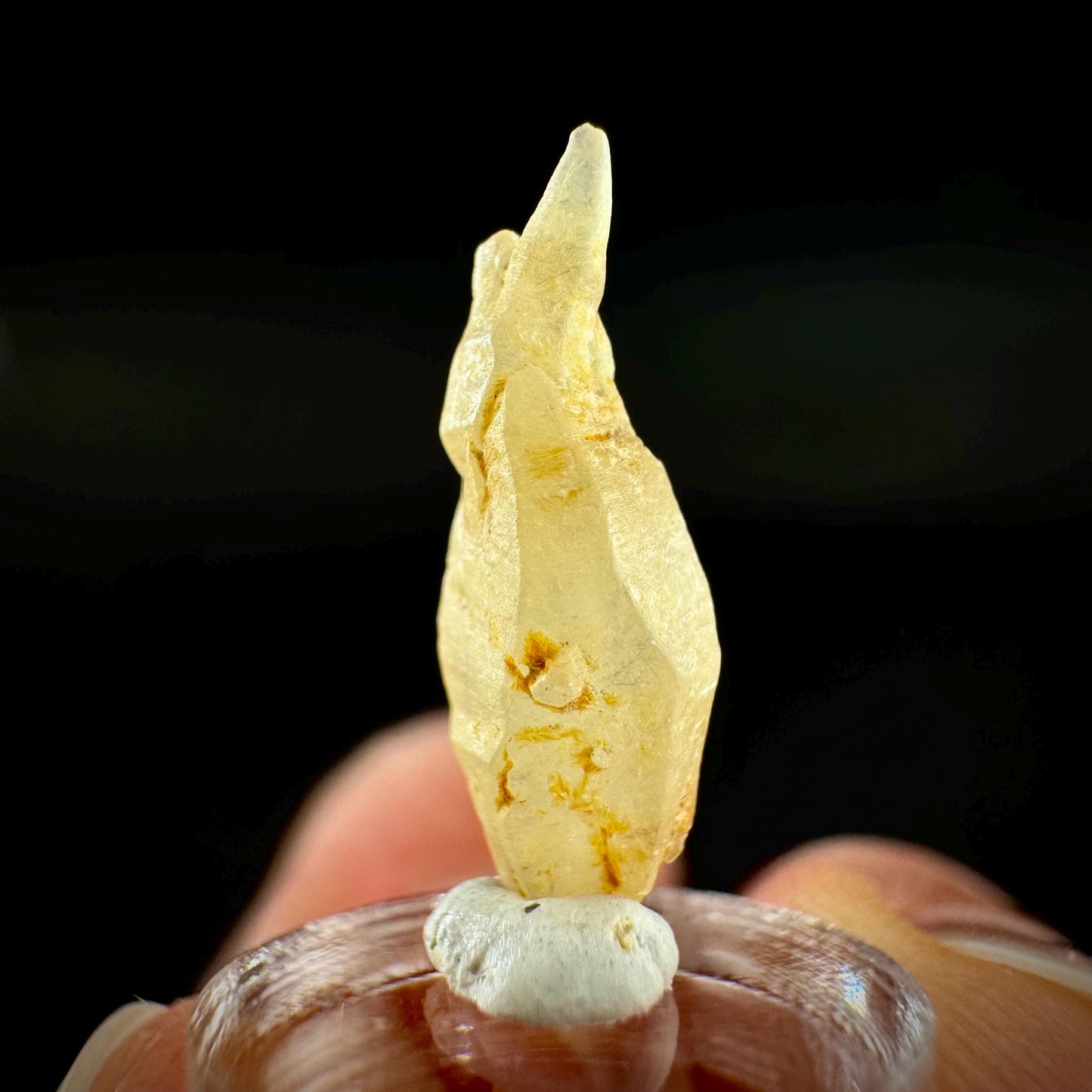 Ceylon Sapphire | natural yellow crystal, uncut raw sapphire, mineral specimen from Sri Lanka
