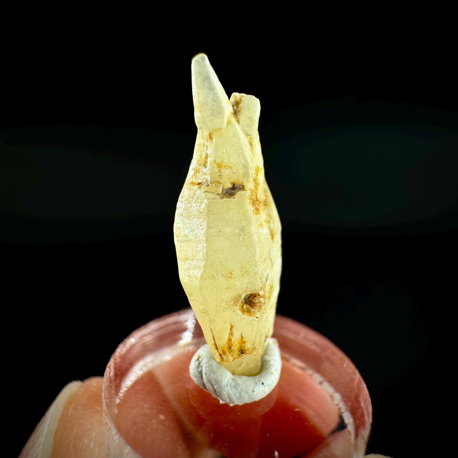 Ceylon Sapphire | natural yellow crystal, uncut raw sapphire, mineral specimen from Sri Lanka