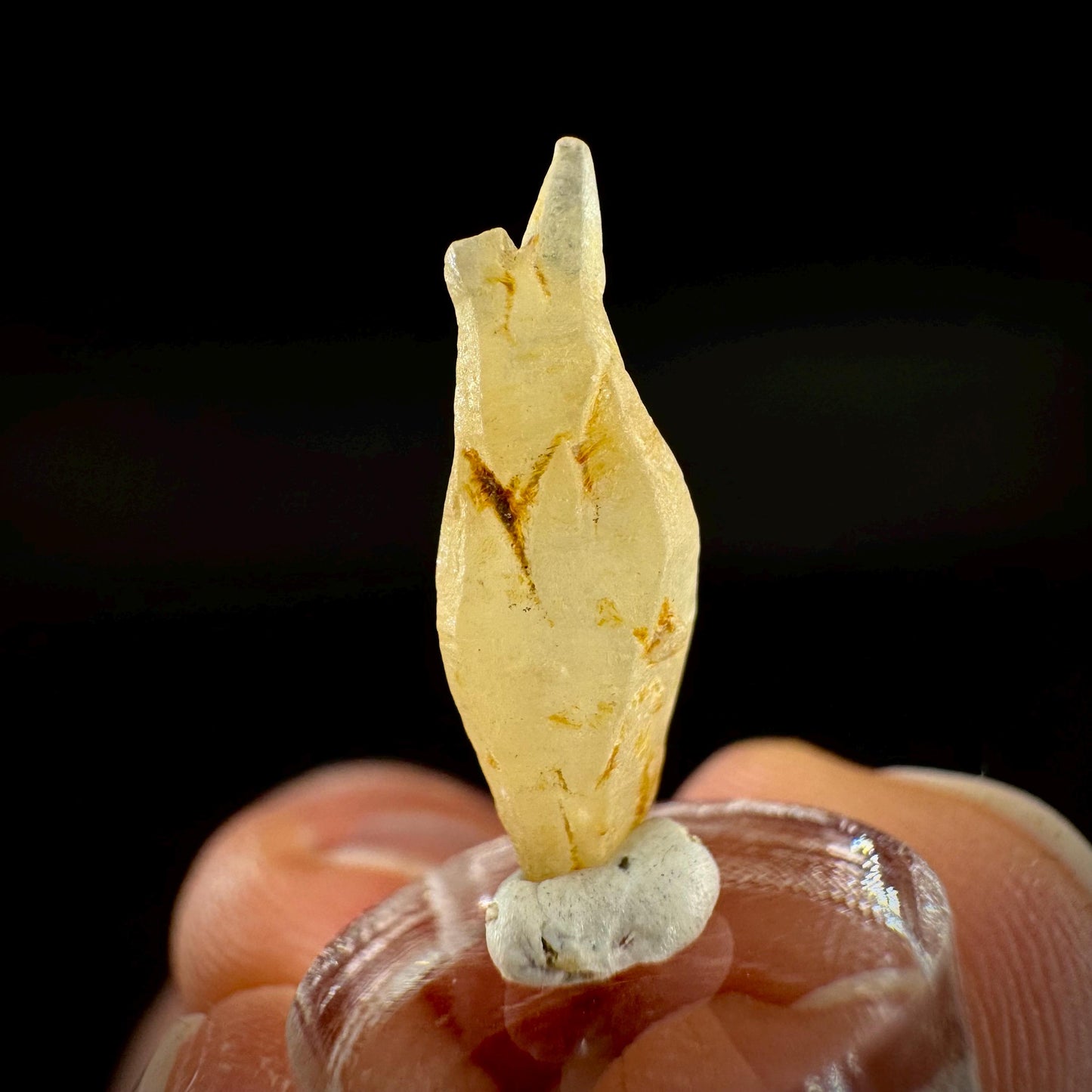 Ceylon Sapphire | natural yellow crystal, uncut raw sapphire, mineral specimen from Sri Lanka