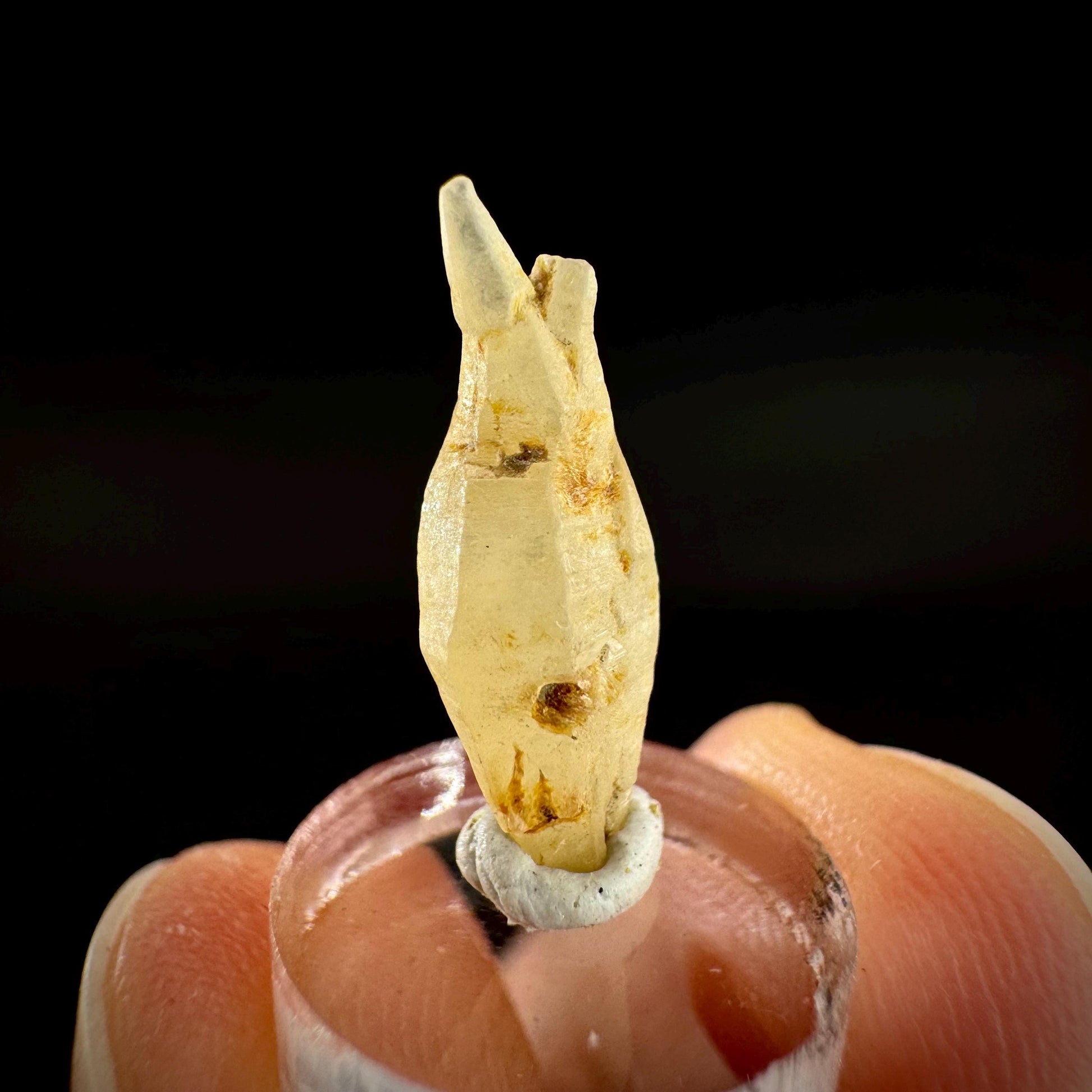 Ceylon Sapphire | natural yellow crystal, uncut raw sapphire, mineral specimen from Sri Lanka