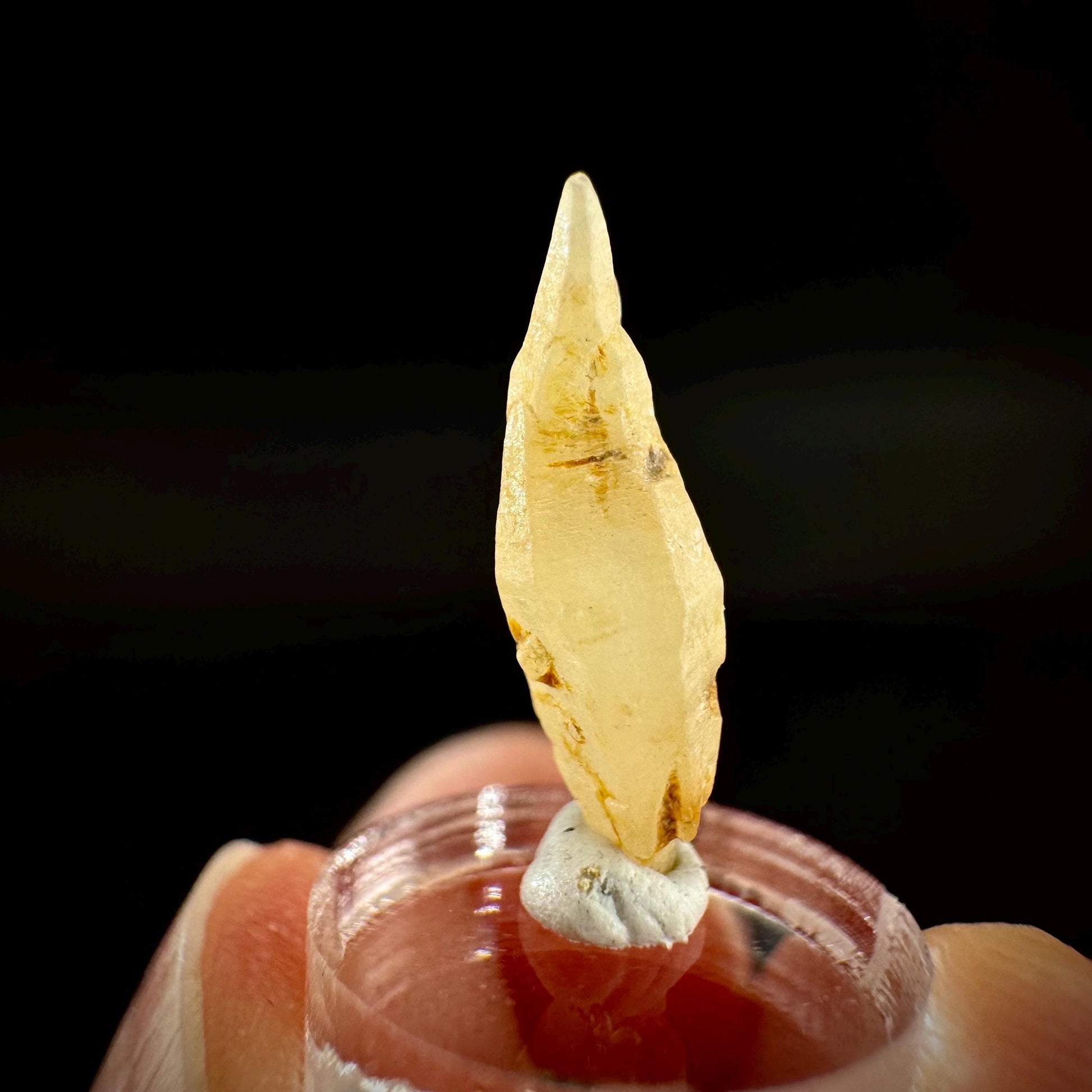 Ceylon Sapphire | natural yellow crystal, uncut raw sapphire, mineral specimen from Sri Lanka