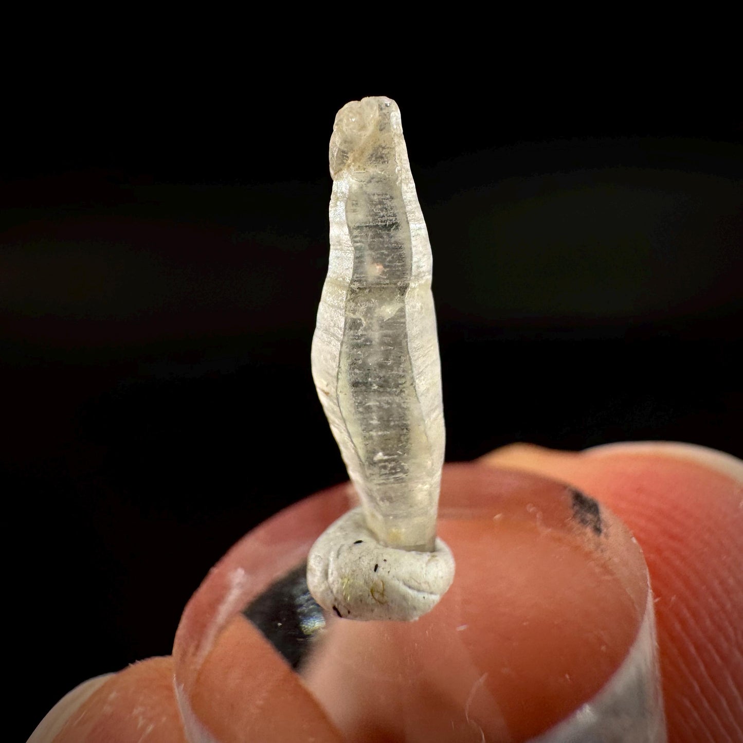 Ceylon Sapphire | natural uncut raw sapphire crystal, mineral specimen from Sri Lanka