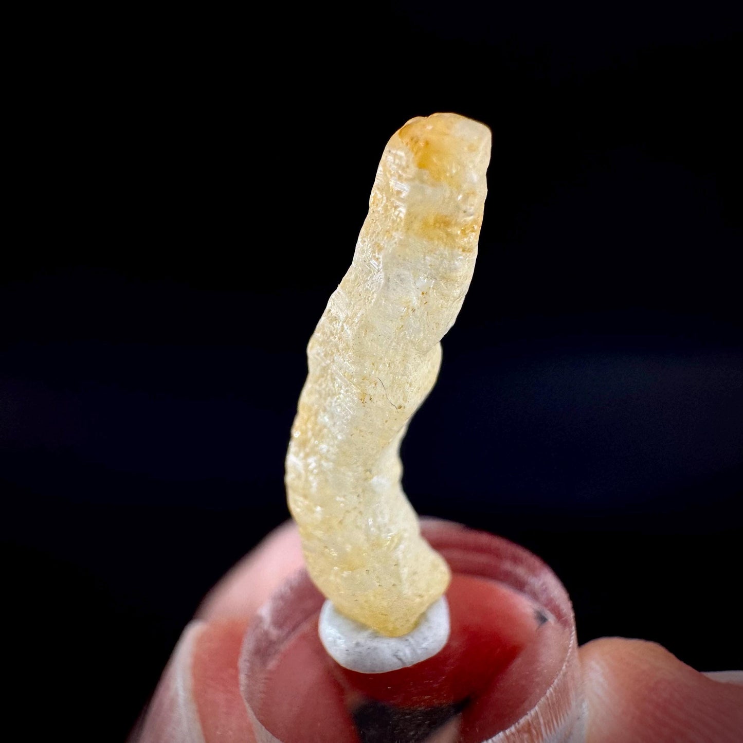 Ceylon Sapphire | natural yellow crystal, uncut raw sapphire, mineral specimen from Sri Lanka