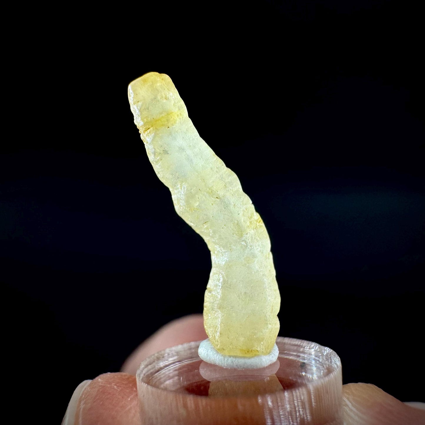 Ceylon Sapphire | natural yellow crystal, uncut raw sapphire, mineral specimen from Sri Lanka