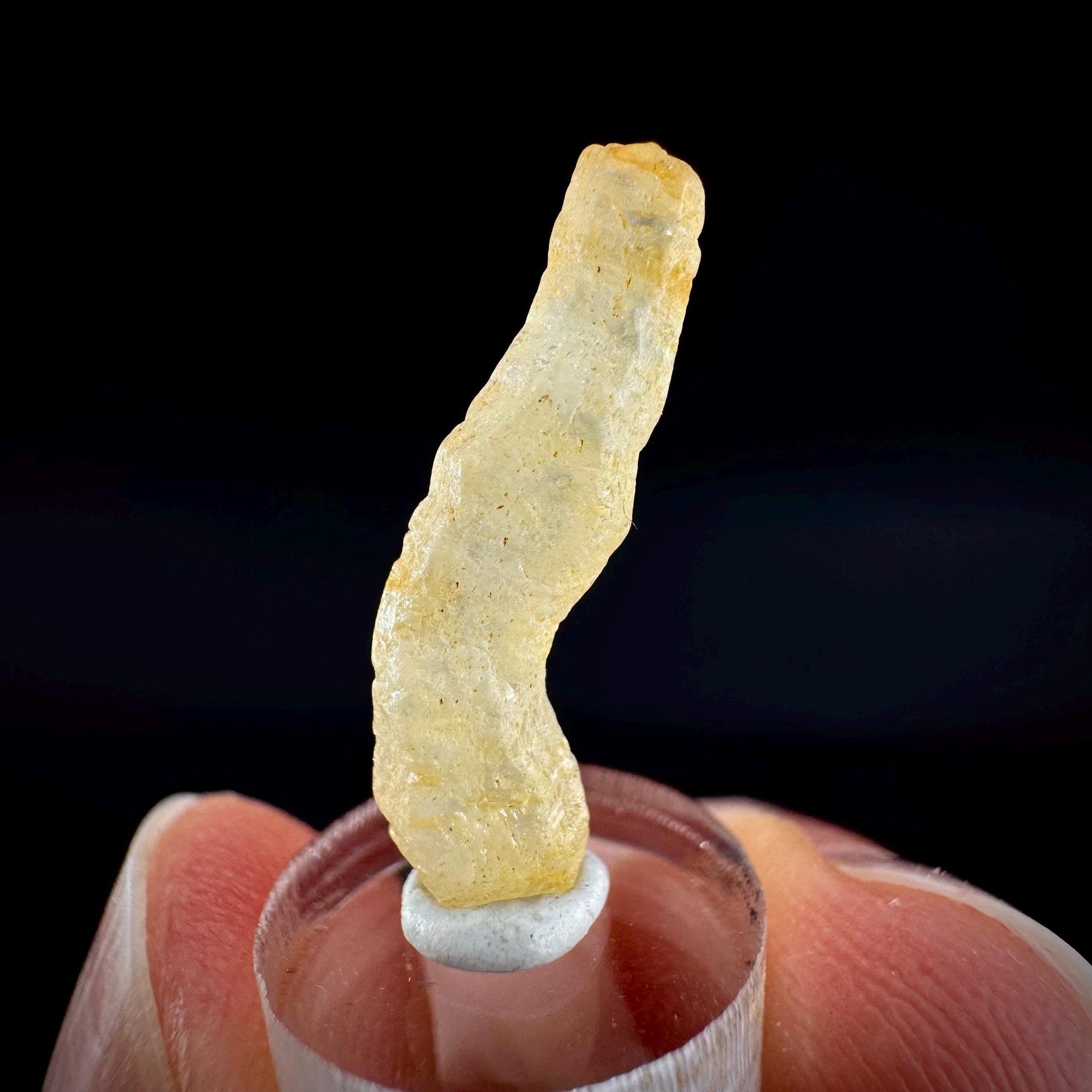 Ceylon Sapphire | natural yellow crystal, uncut raw sapphire, mineral specimen from Sri Lanka