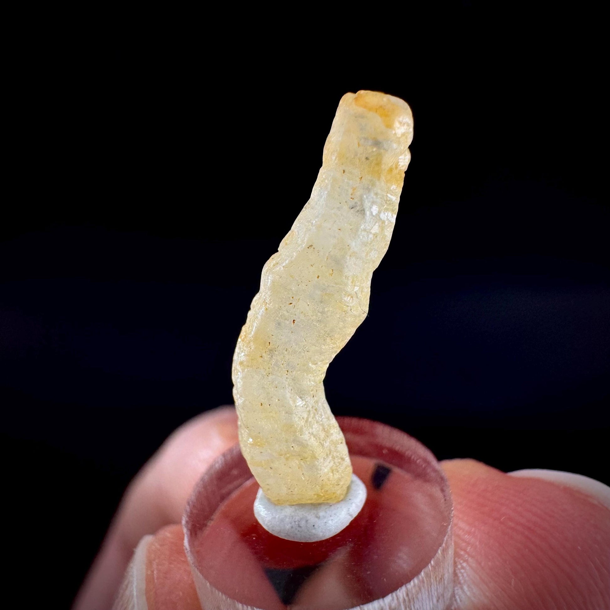 Ceylon Sapphire | natural yellow crystal, uncut raw sapphire, mineral specimen from Sri Lanka