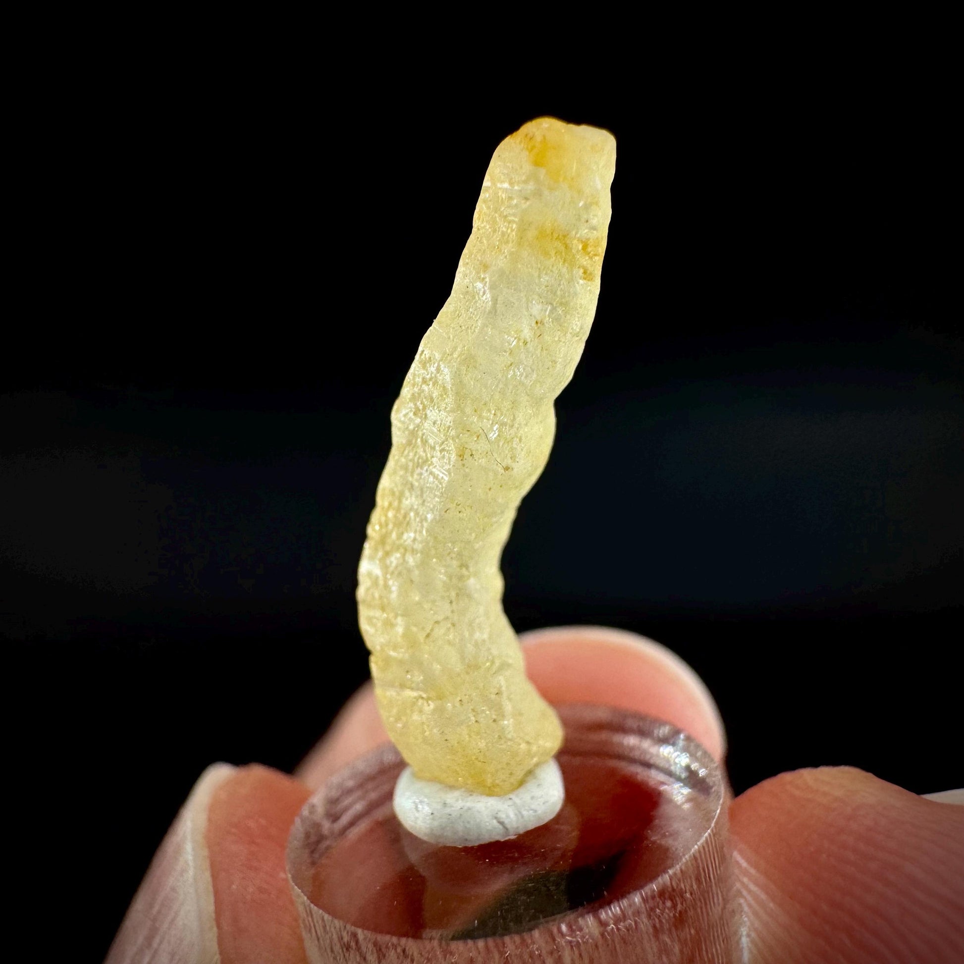 Ceylon Sapphire | natural yellow crystal, uncut raw sapphire, mineral specimen from Sri Lanka
