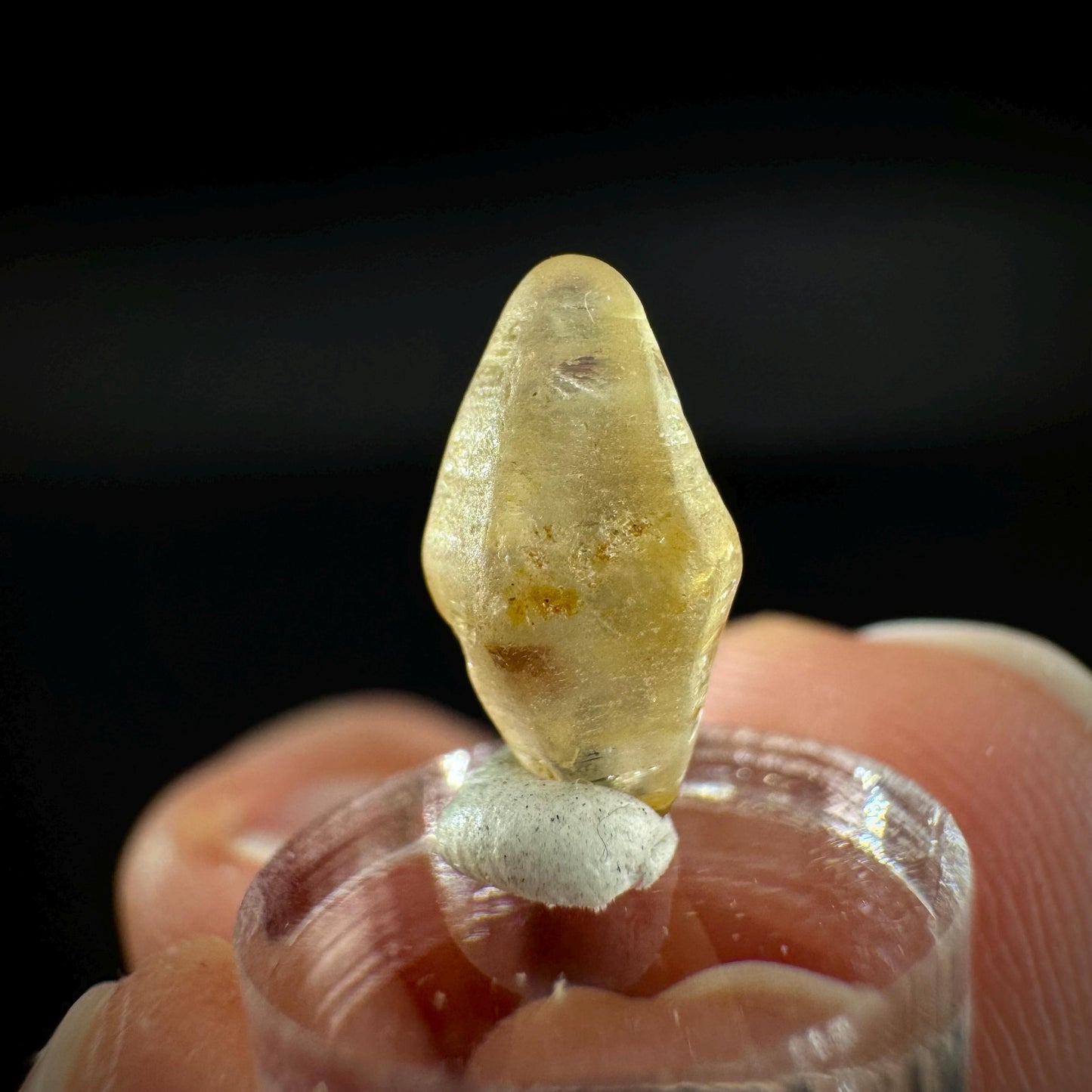 Ceylon Sapphire | natural yellow crystal, uncut raw sapphire, mineral specimen from Sri Lanka