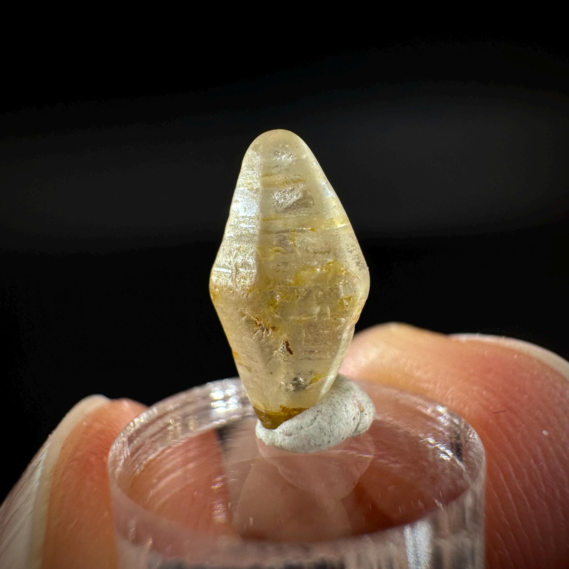 Ceylon Sapphire | natural yellow crystal, uncut raw sapphire, mineral specimen from Sri Lanka