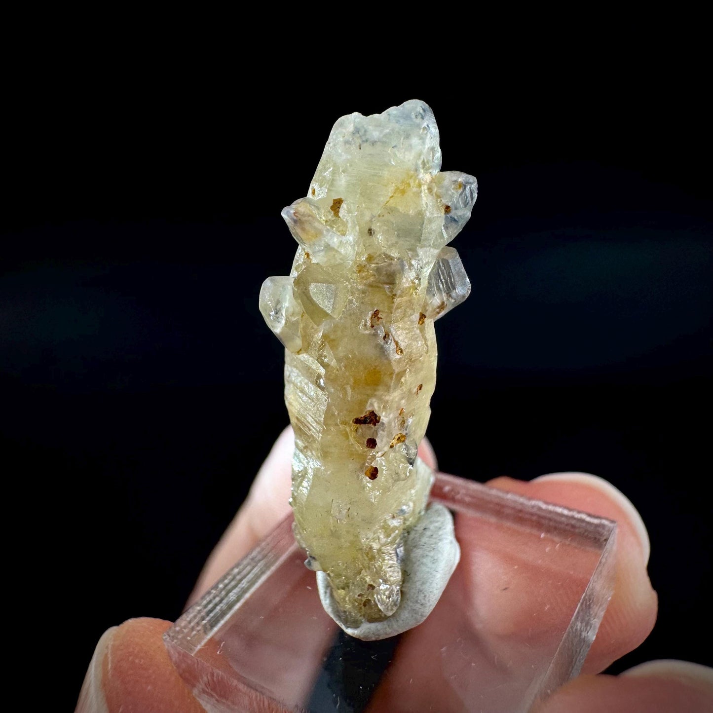 Ceylon Sapphire | natural uncut raw sapphire crystal, mineral specimen from Sri Lanka