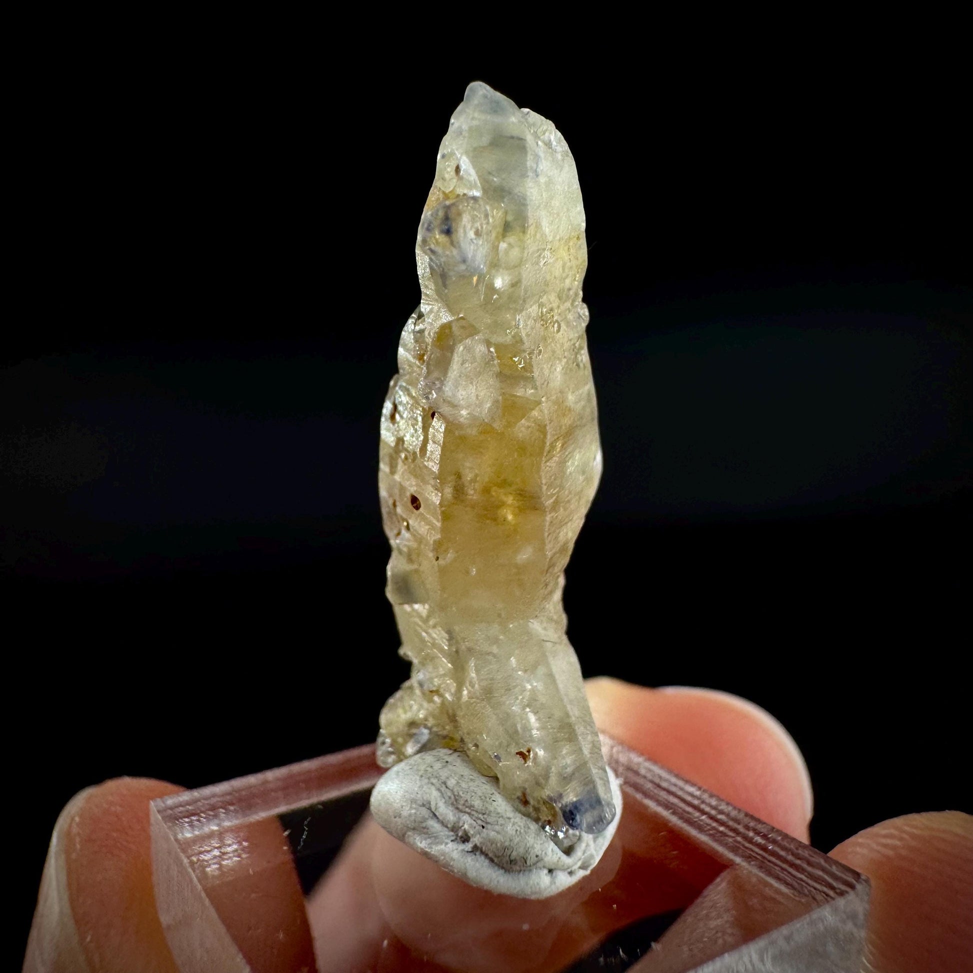 Ceylon Sapphire | natural uncut raw sapphire crystal, mineral specimen from Sri Lanka