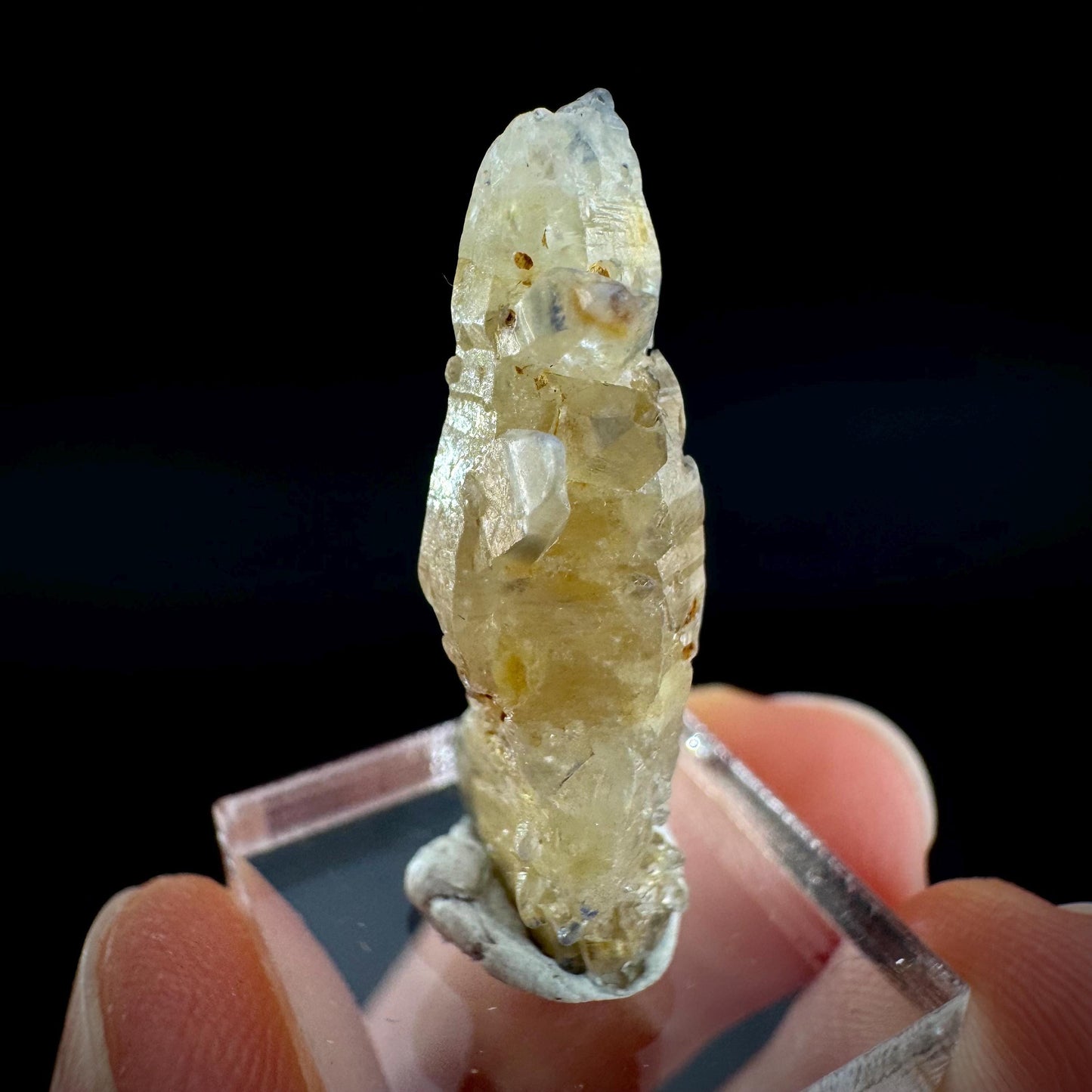 Ceylon Sapphire | natural uncut raw sapphire crystal, mineral specimen from Sri Lanka