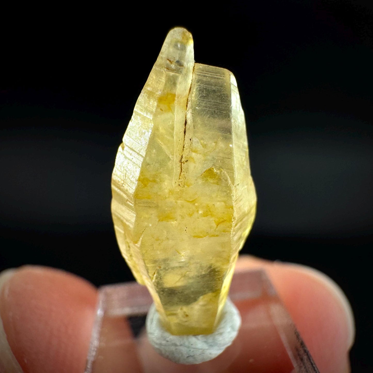 Ceylon Sapphire | natural yellow crystal, uncut raw sapphire, mineral specimen from Sri Lanka