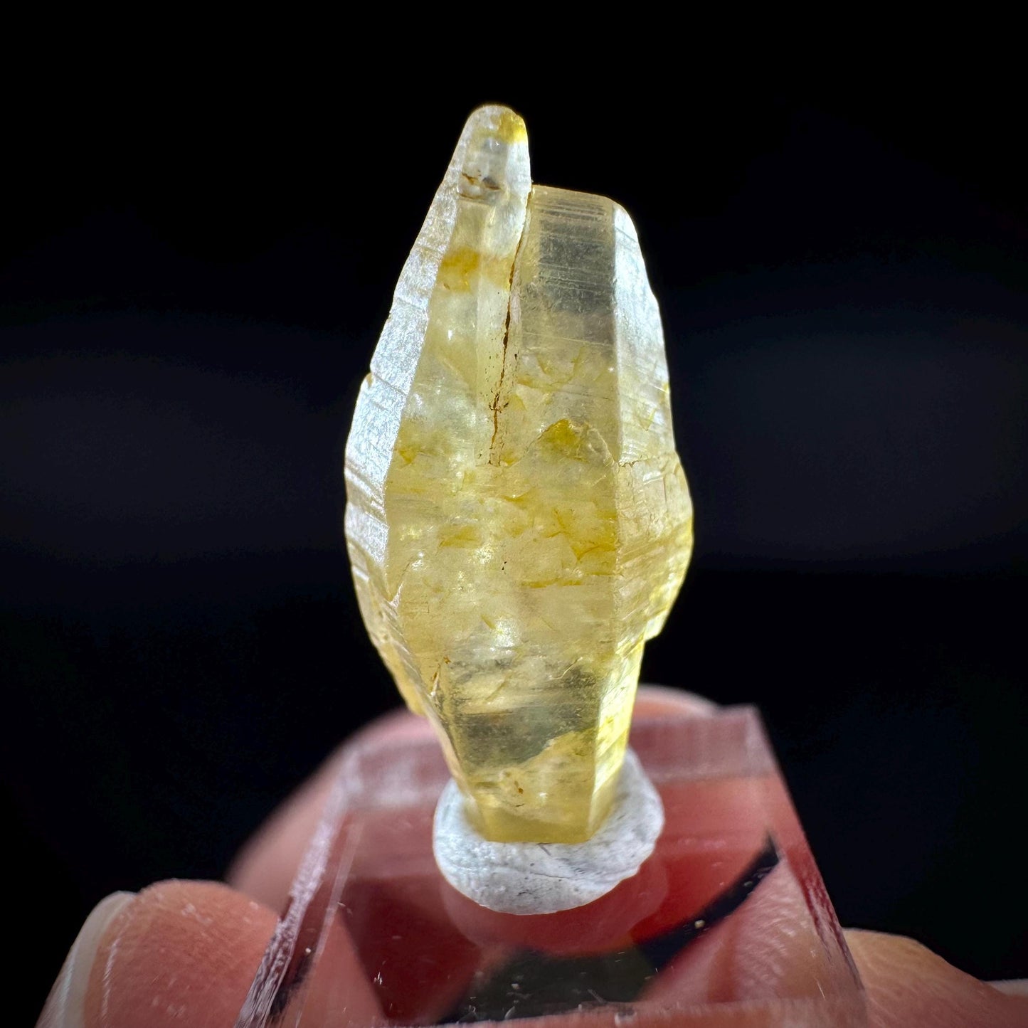 Ceylon Sapphire | natural yellow crystal, uncut raw sapphire, mineral specimen from Sri Lanka