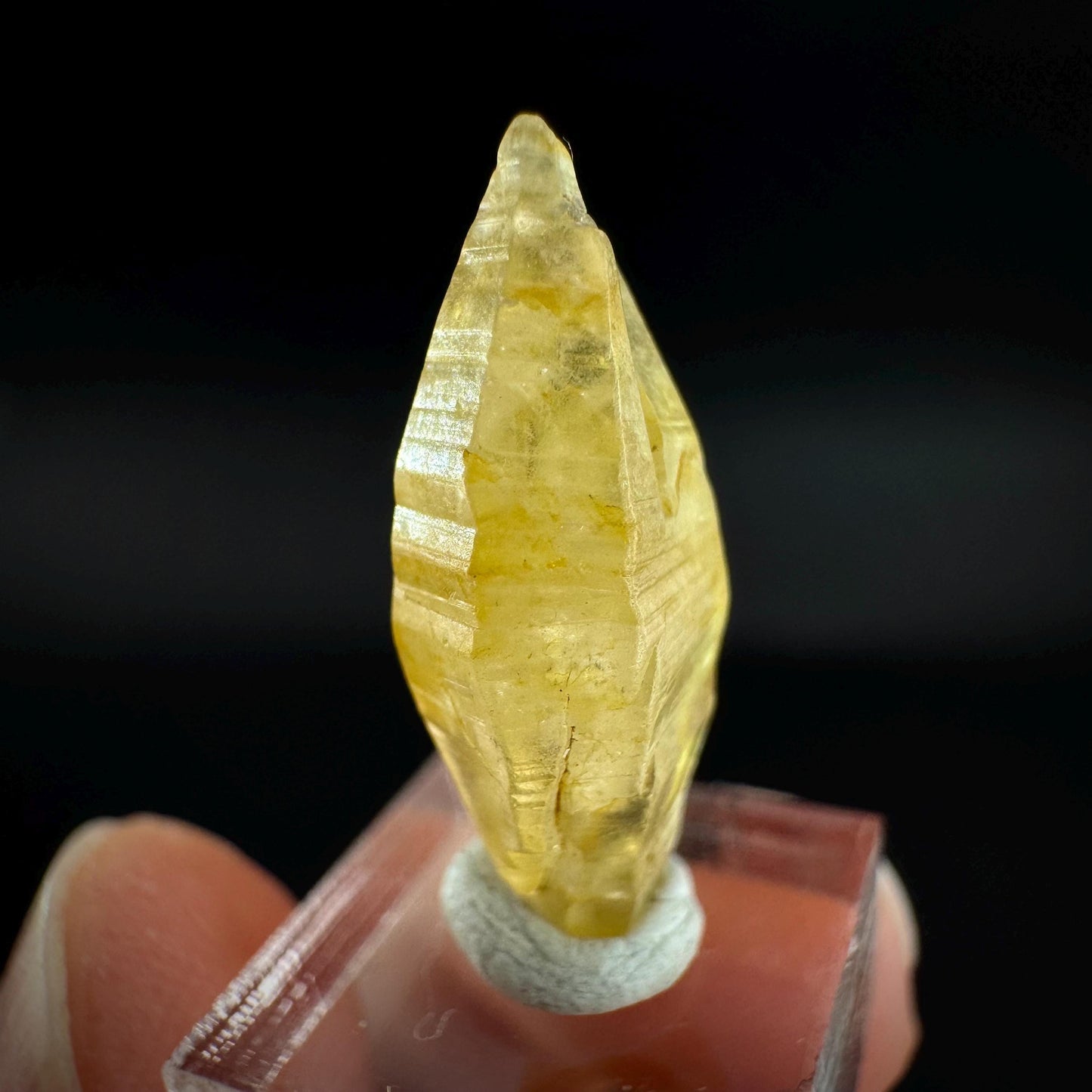 Ceylon Sapphire | natural yellow crystal, uncut raw sapphire, mineral specimen from Sri Lanka