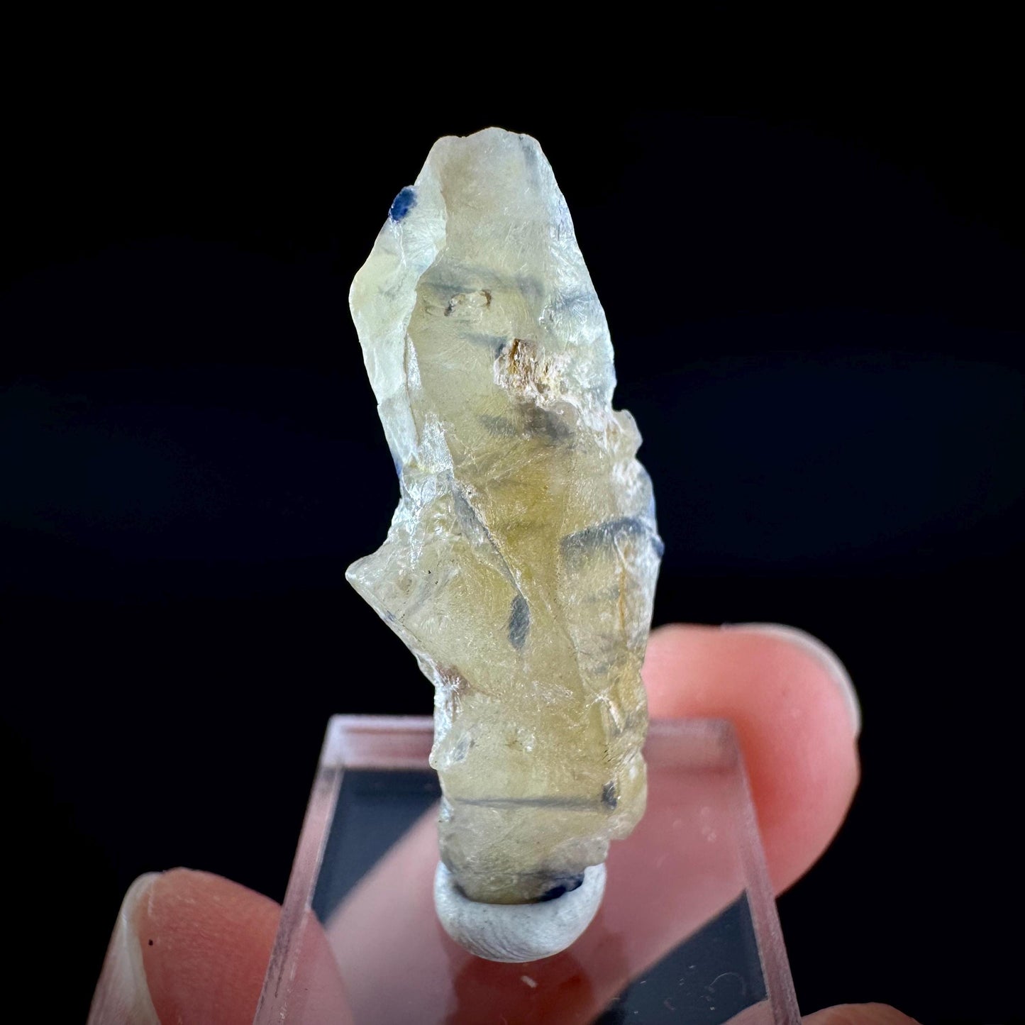 Ceylon Sapphire | natural bi-color blue crystal, uncut raw sapphire, mineral specimen from Sri Lanka