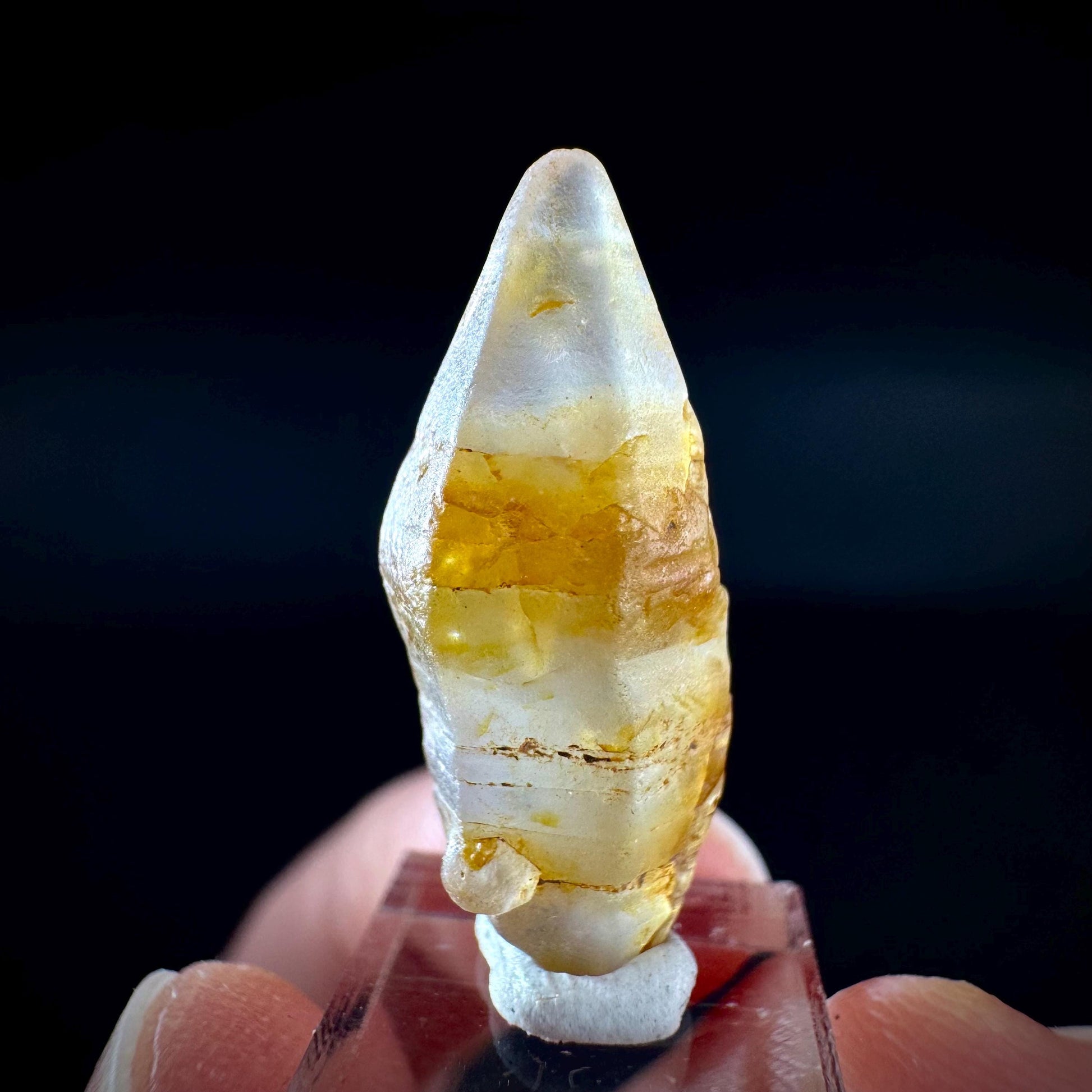 Ceylon Sapphire | natural yellow crystal, uncut raw sapphire, mineral specimen from Sri Lanka