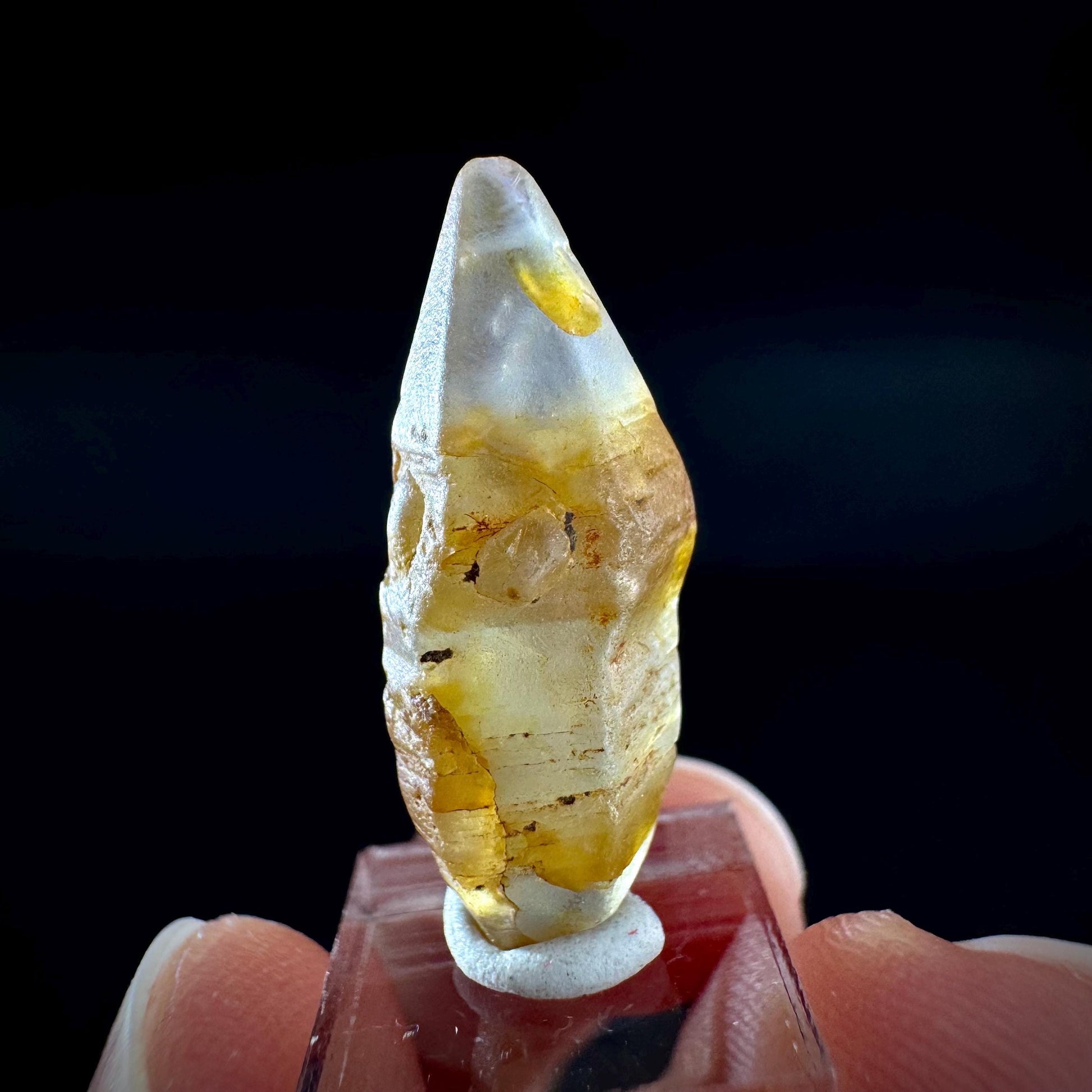 Ceylon Sapphire | natural yellow crystal, uncut raw sapphire, mineral specimen from Sri Lanka