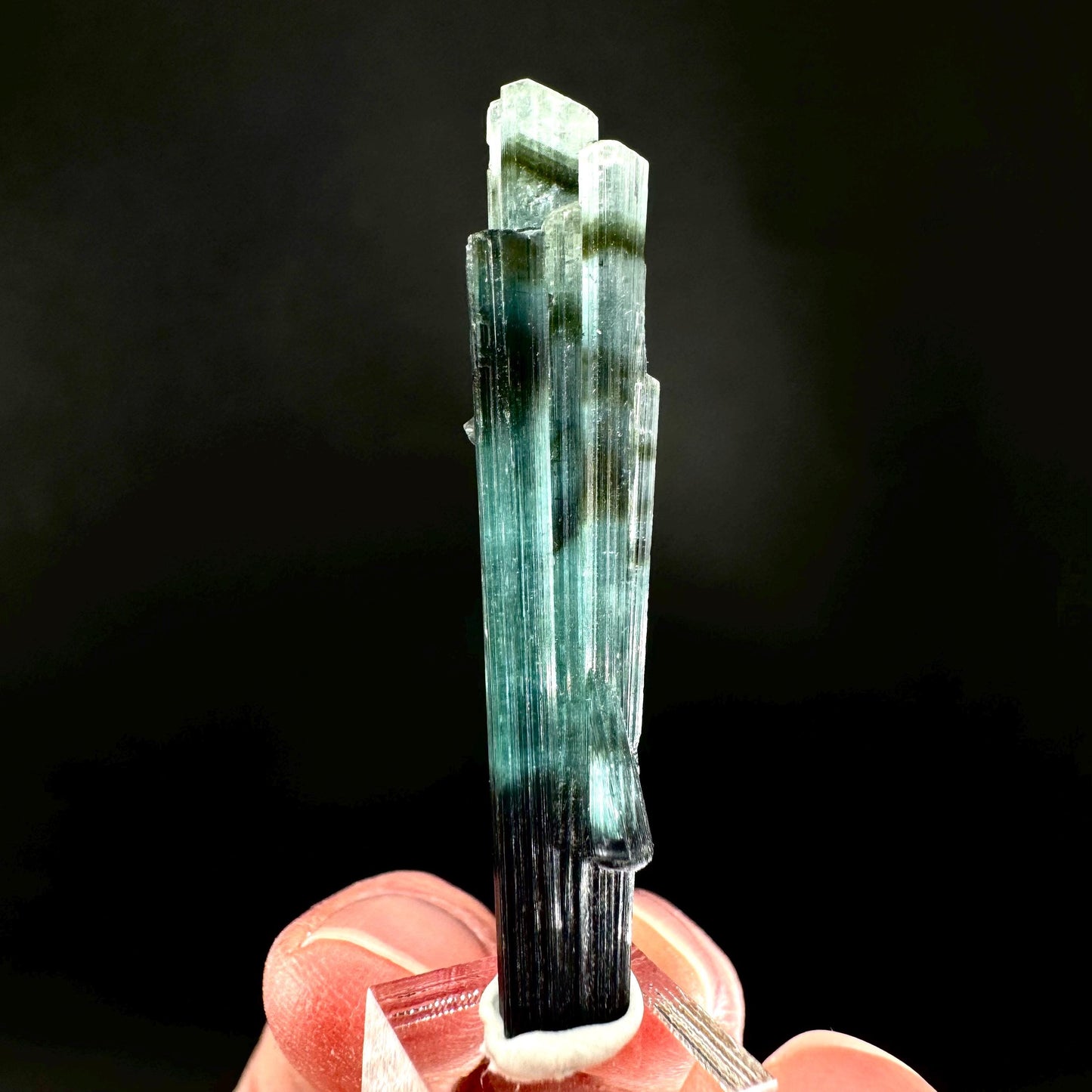 Indicolite Tourmaline Crystal | Natural Blue-Green Mineral Specimen from Pakistan
