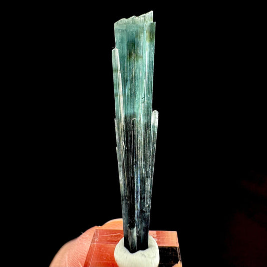 Indicolite Tourmaline Crystal | Natural Blue-Green Mineral Specimen from Pakistan