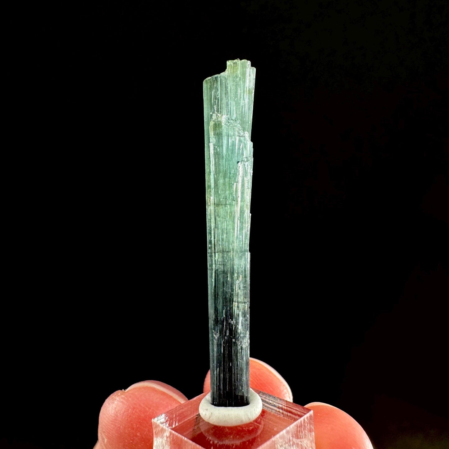 Indicolite Tourmaline Crystal | Natural Blue-Green Mineral Specimen from Pakistan