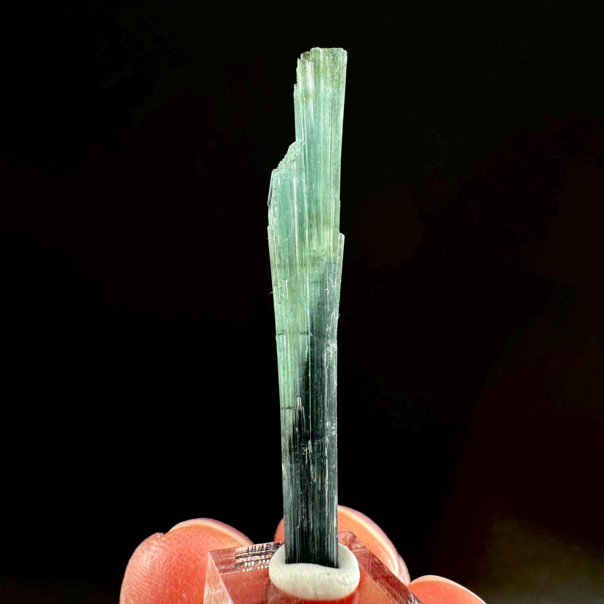 Indicolite Tourmaline Crystal | Natural Blue-Green Mineral Specimen from Pakistan