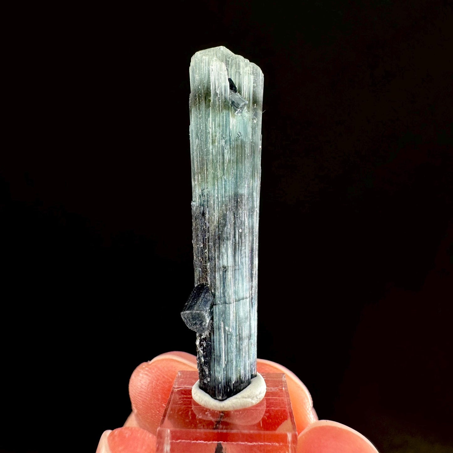 Indicolite Tourmaline Crystal | Natural Blue-Green Mineral Specimen from Pakistan