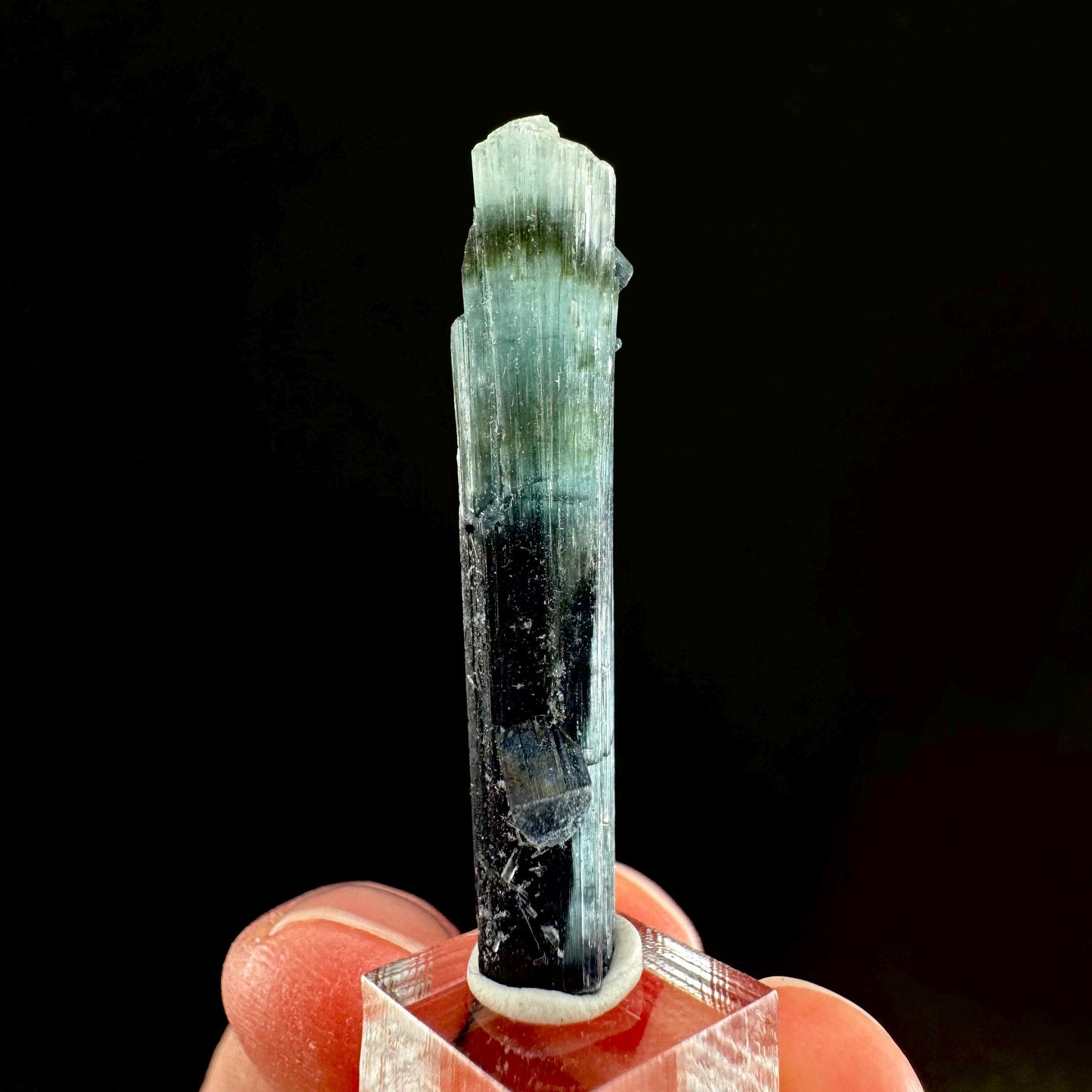 Indicolite Tourmaline Crystal | Natural Blue-Green Mineral Specimen from Pakistan