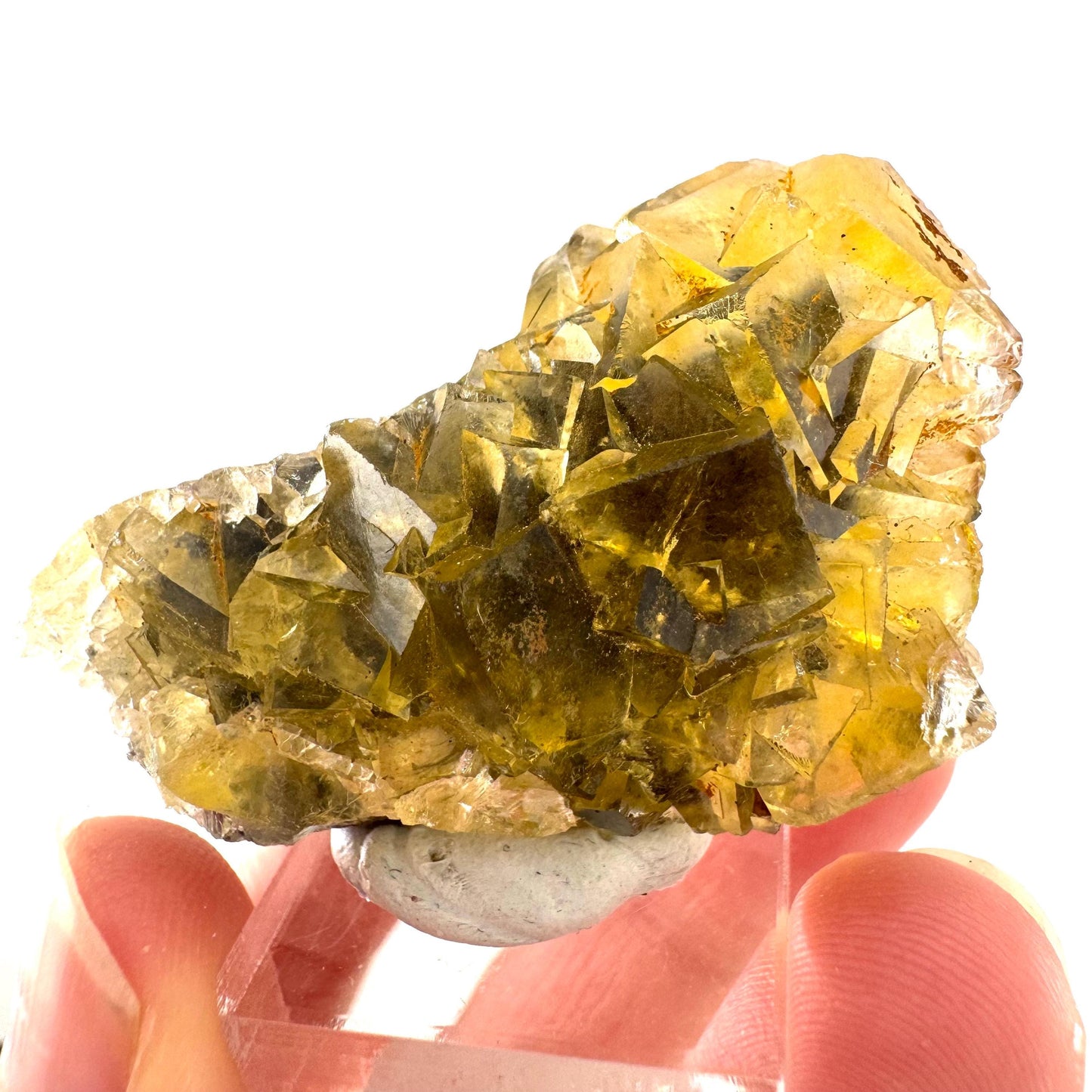 Okorusu Fluorite | “Honey Pocket” yellow crystal cluster, mineral specimen from Namibia