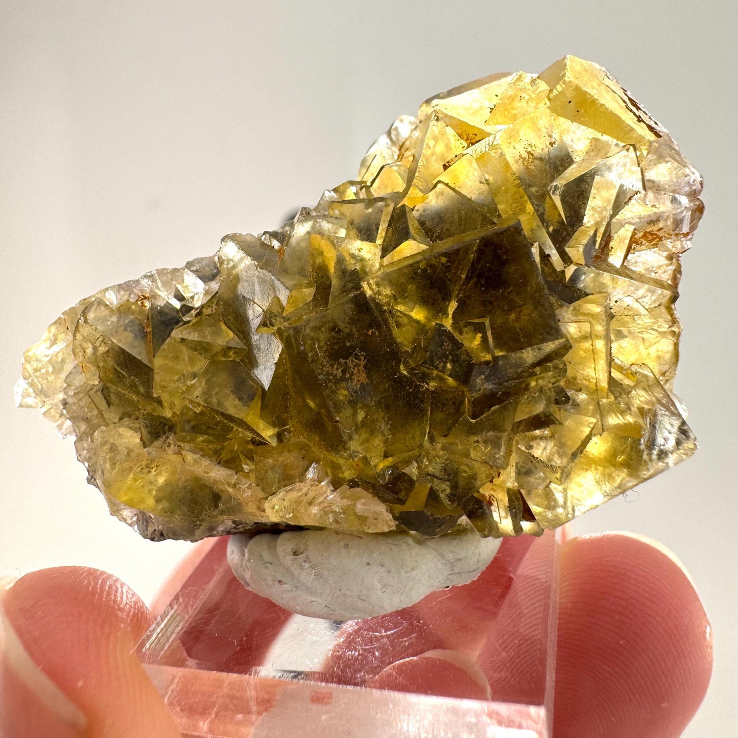 Okorusu Fluorite | “Honey Pocket” yellow crystal cluster, mineral specimen from Namibia