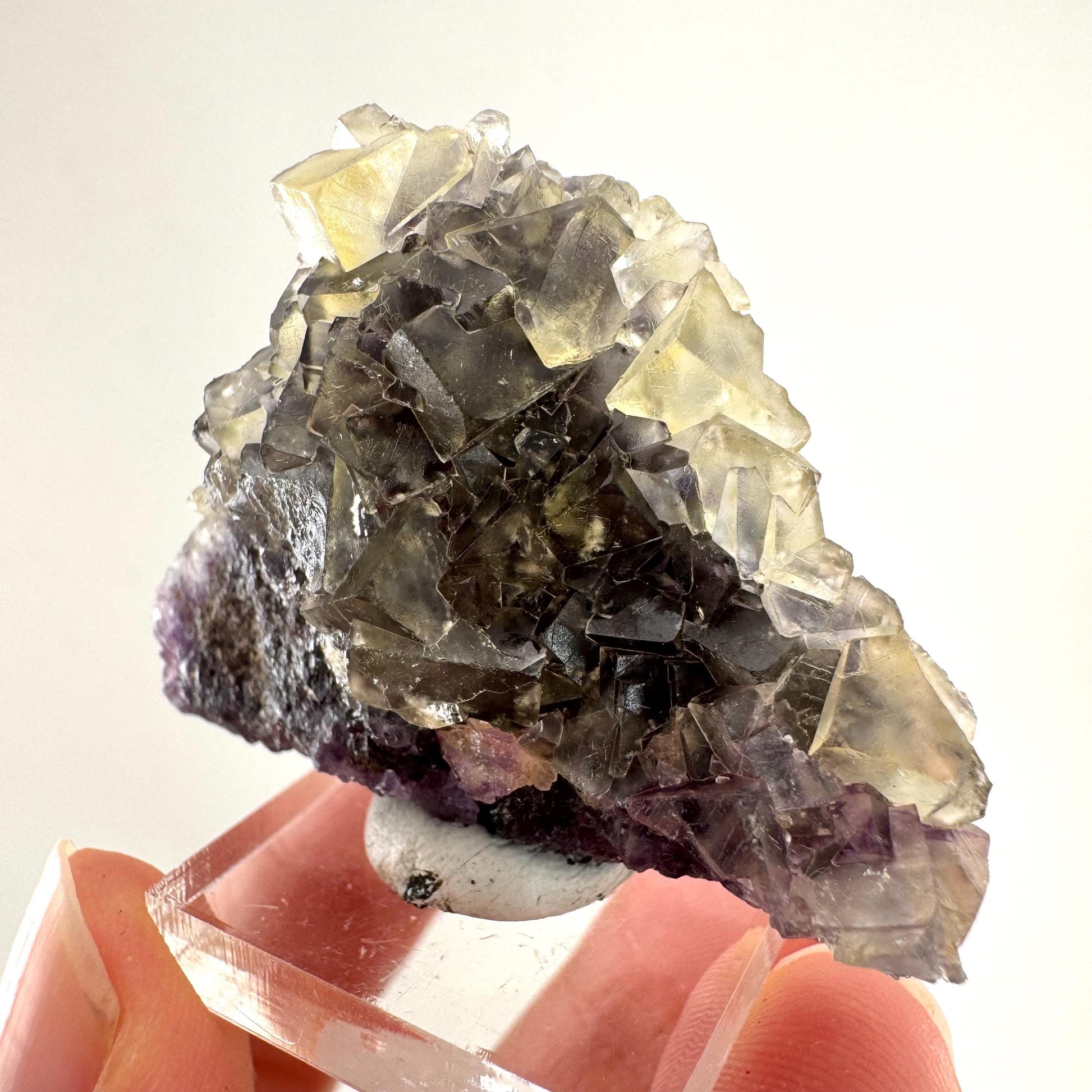 Okorusu Fluorite | “Honey Pocket” yellow crystal cluster, mineral specimen from Namibia